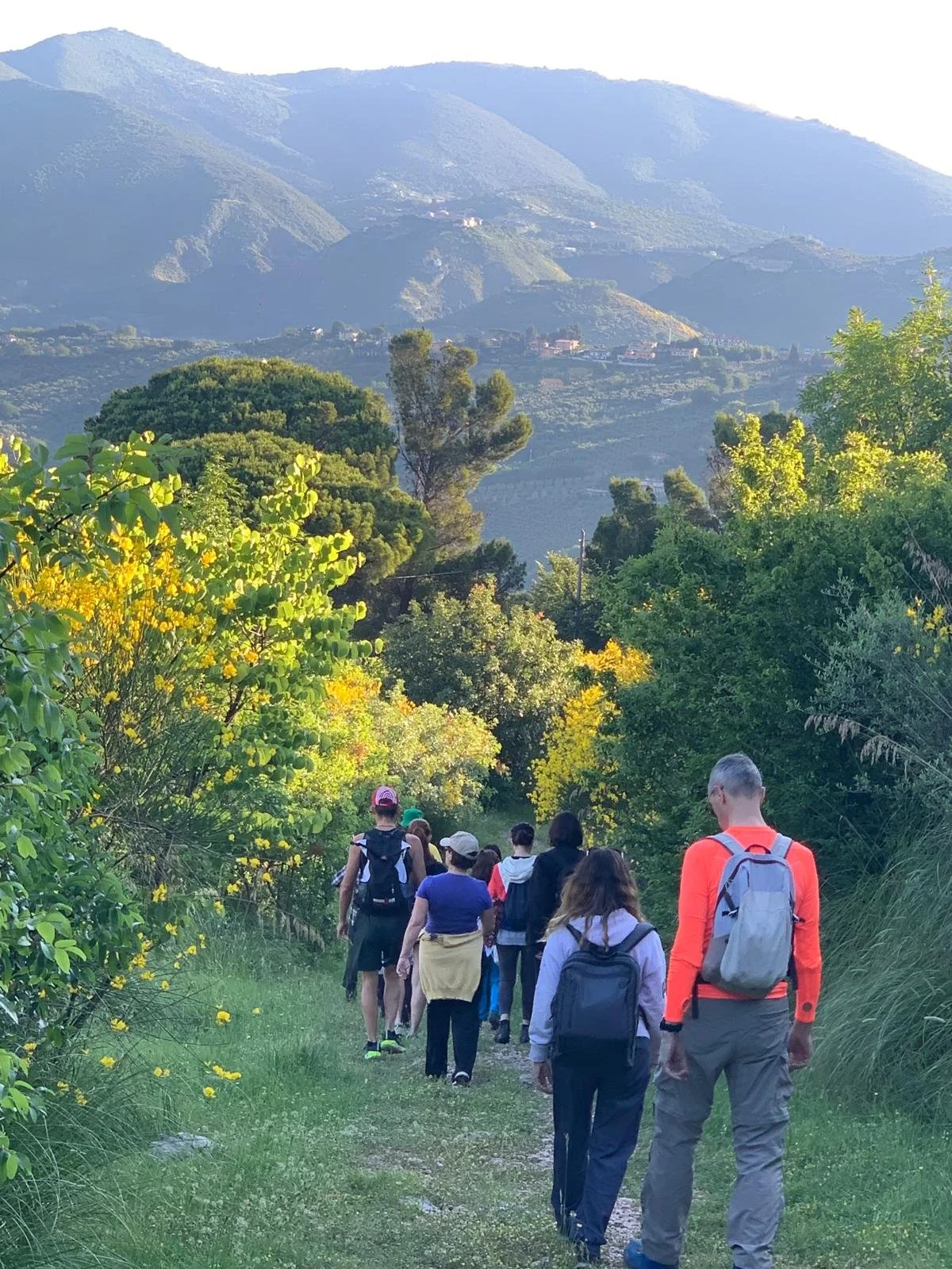 camminata nella natura.jpg