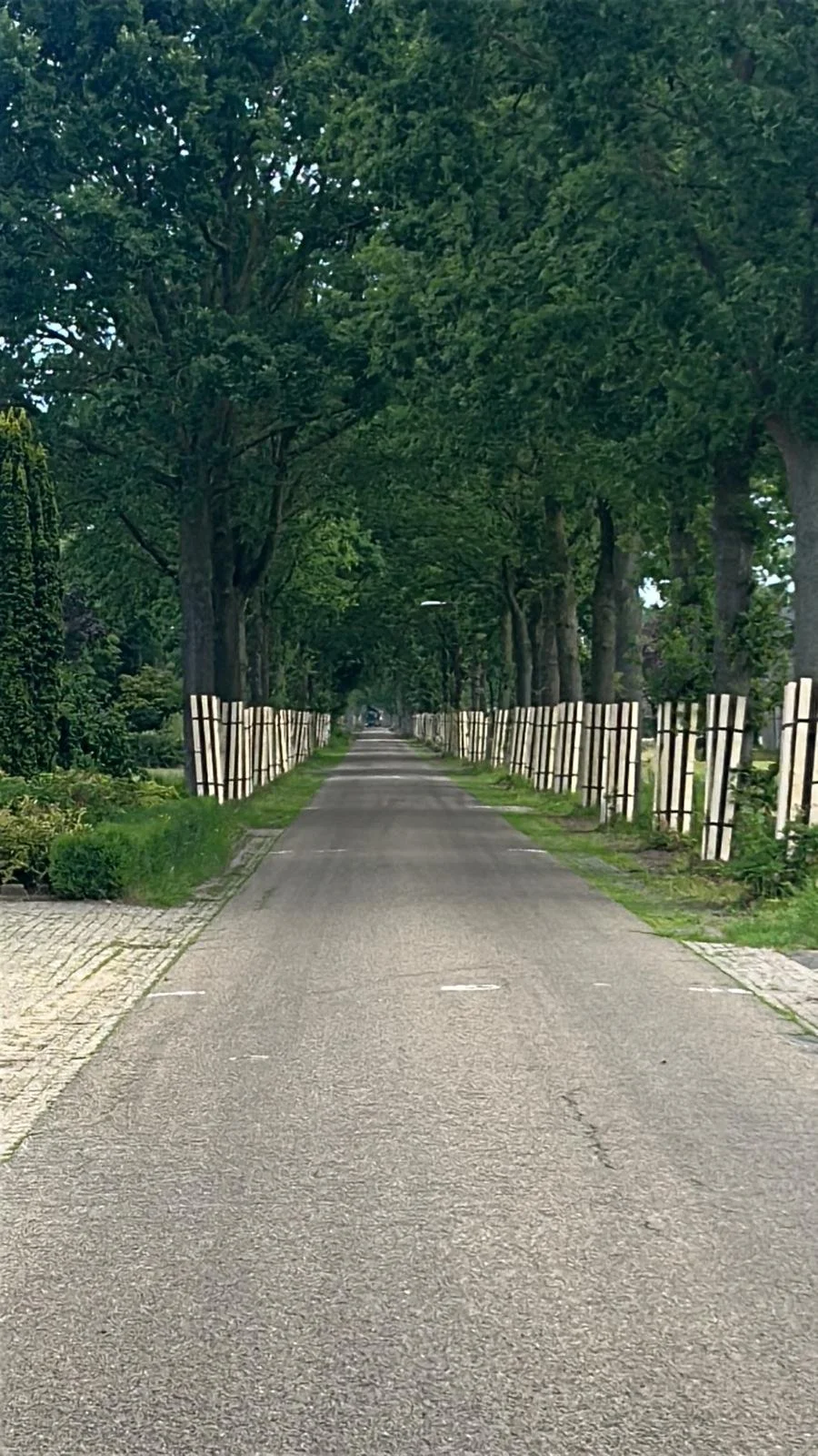 boombeschermers stamommanteling boombumper tree protection