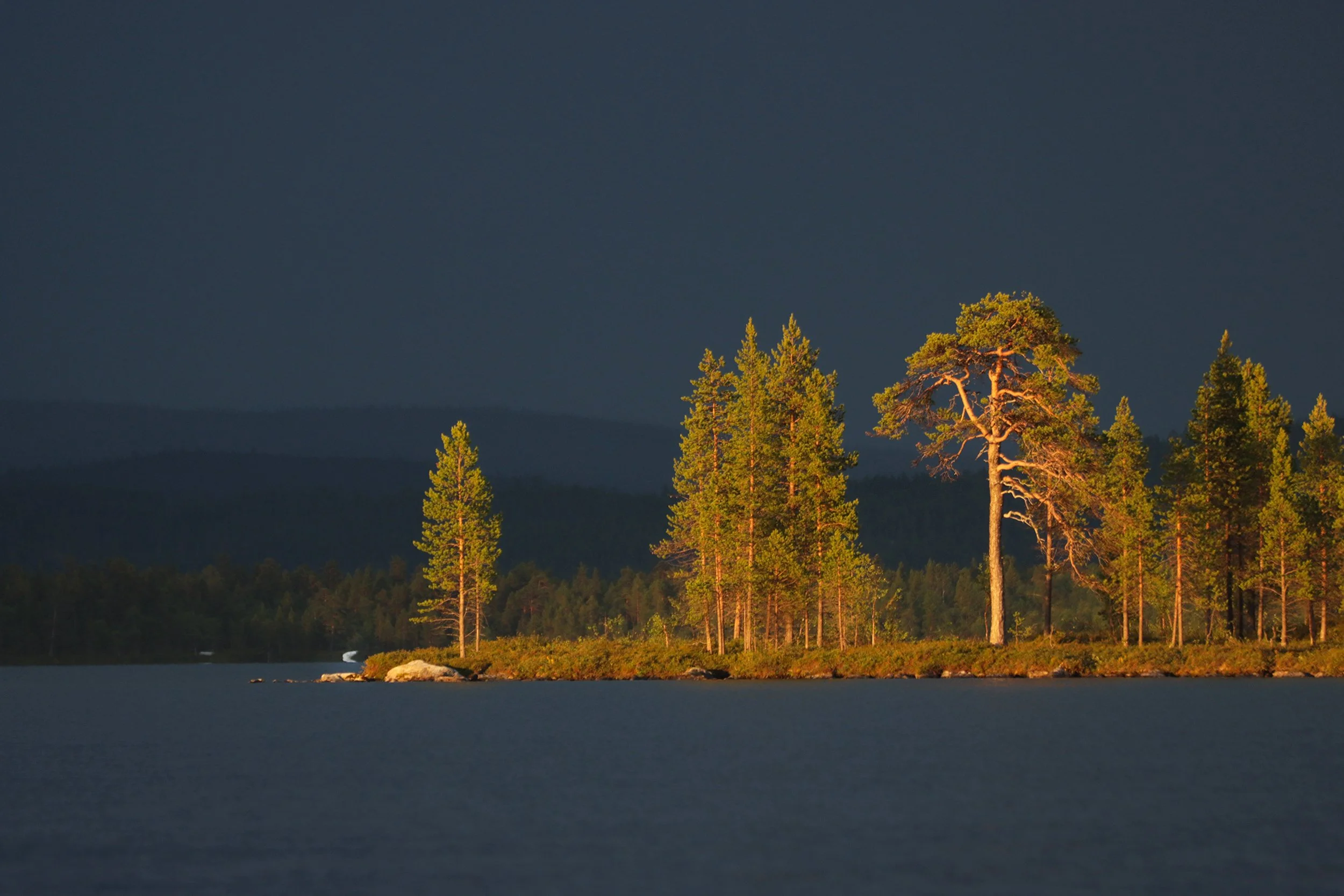 i järvi9.jpg