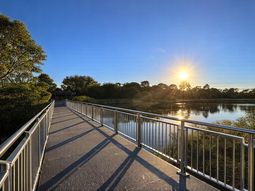 Adelaide Boardwalk Reconstruction Commericial