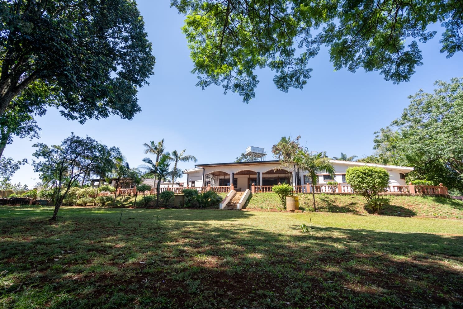 WhatsApp Image..jpeg