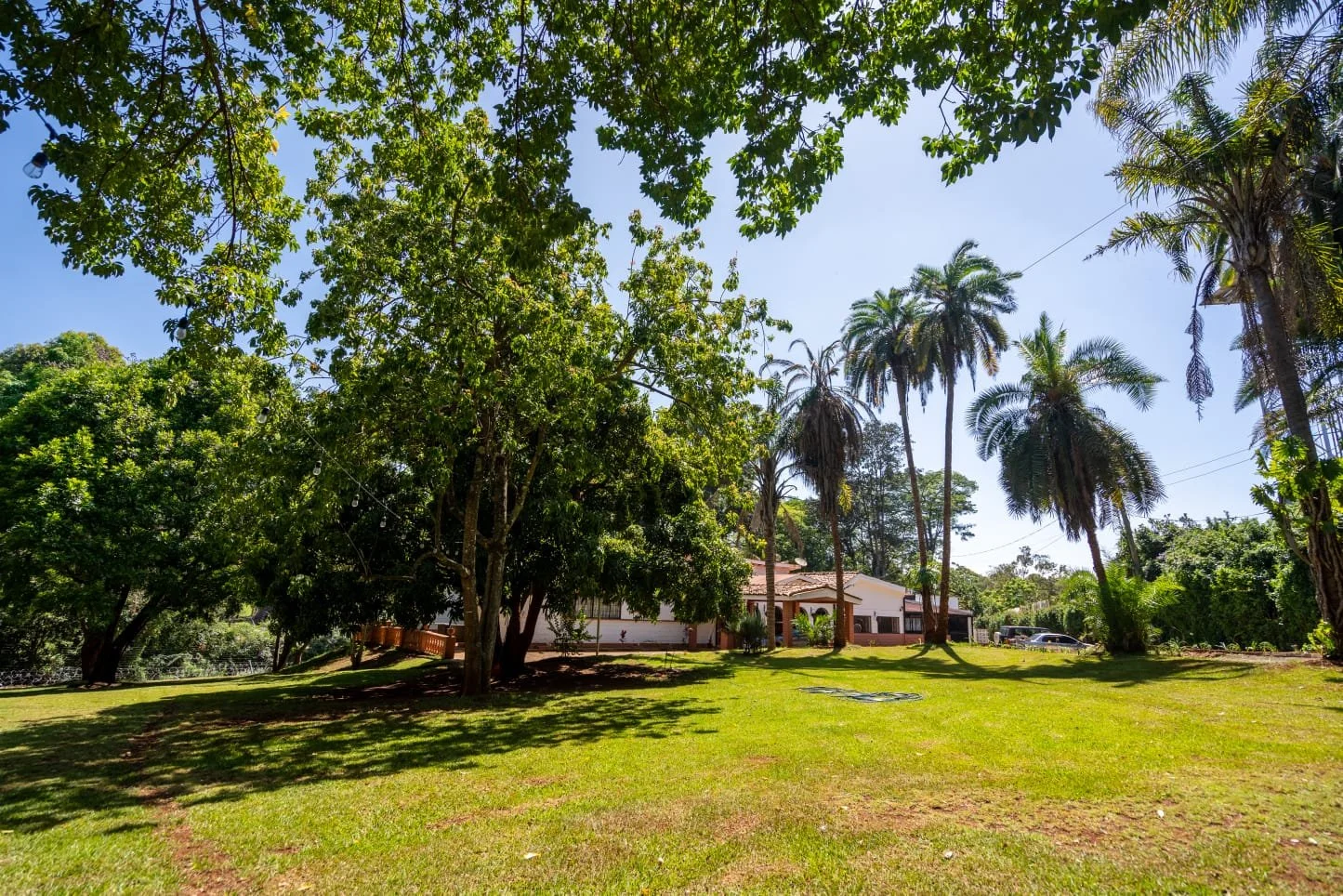 WhatsApp Image .jpeg