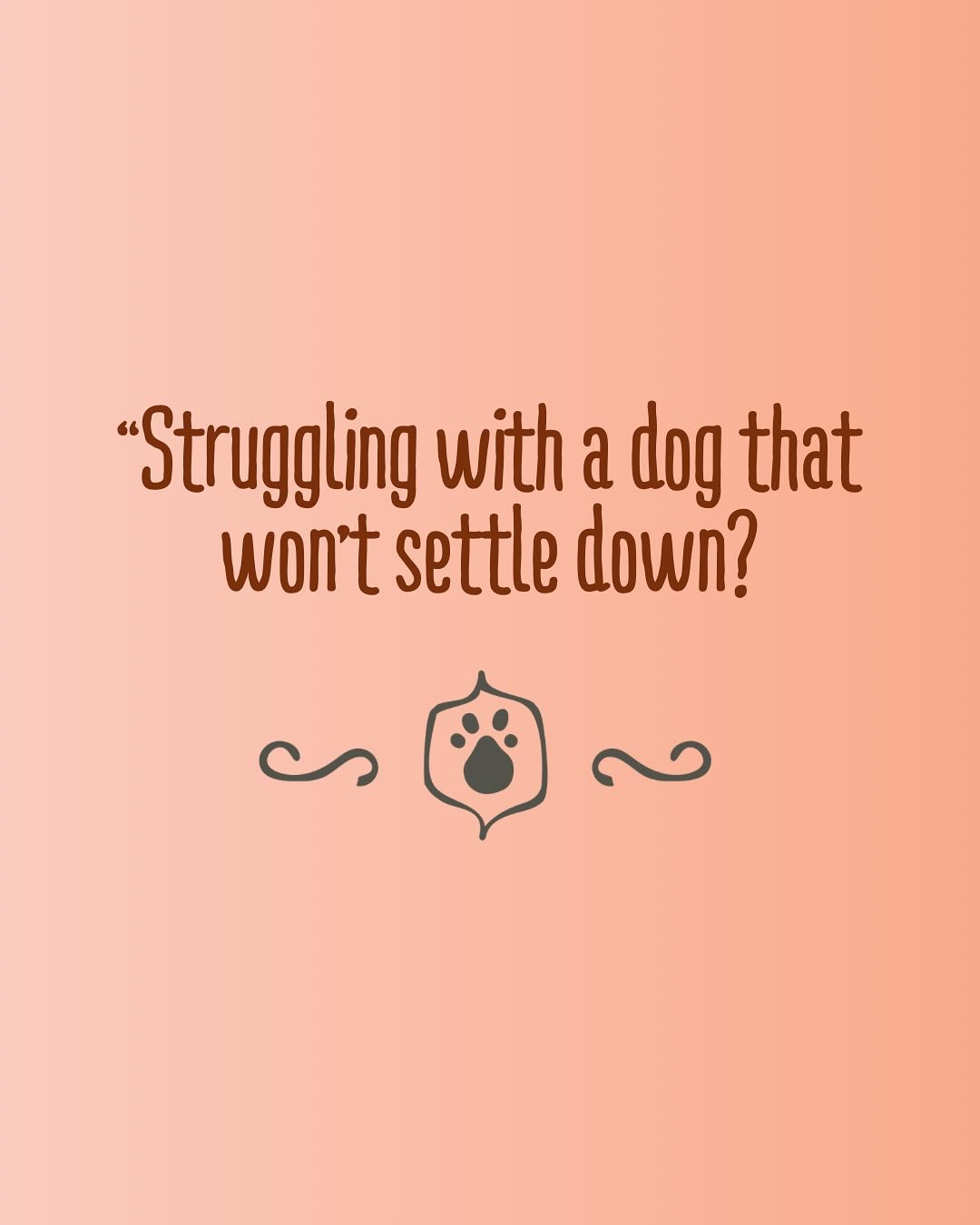 Always look for the reason why!! It&rsquo;s the first step to helping our dog feel better so then they can start thinking better 🙌

Check out The Simple Dog Essentials Course or reach out so we can came up with a plan to help your dog 🐾

Links in b