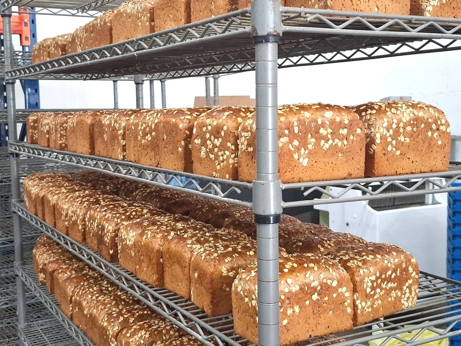 Multiple loaves of bread on metal racks, topped with rolled oats.
