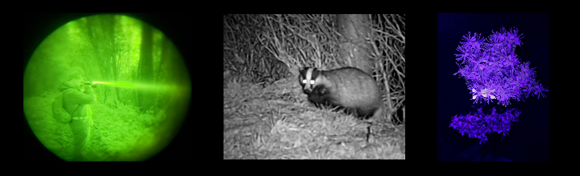 Three images: the first shows a person in the woods using a night vision device; the second is a black and white photo of a badger as seen with night vision device; and the third is an image of a plant with purple hues, as seen with UV light.