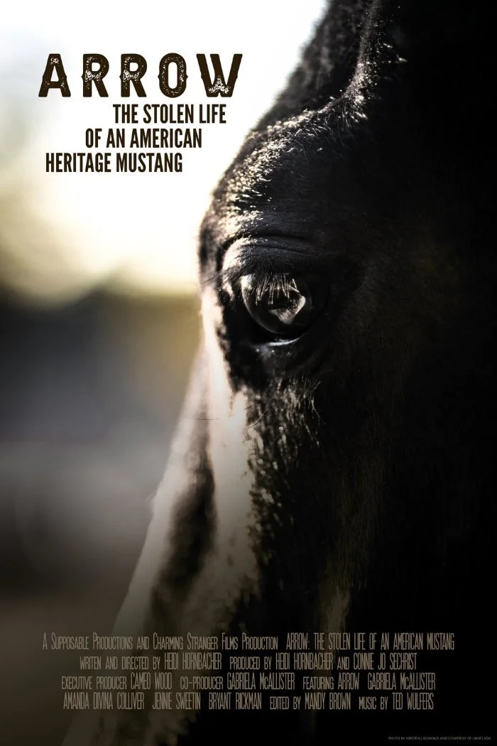 Arrow