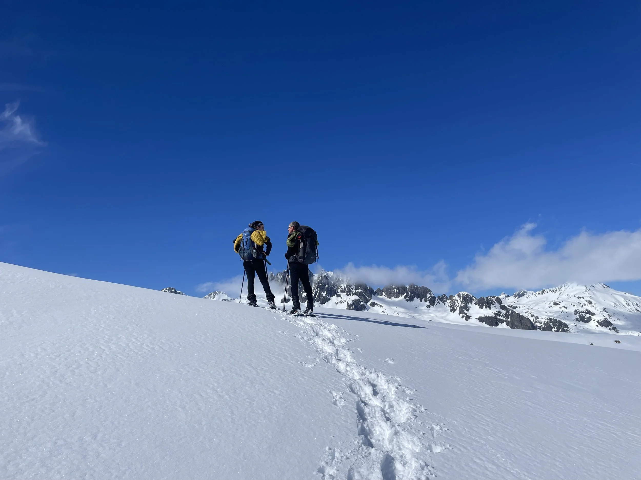 Een stap terug in de sneeuw