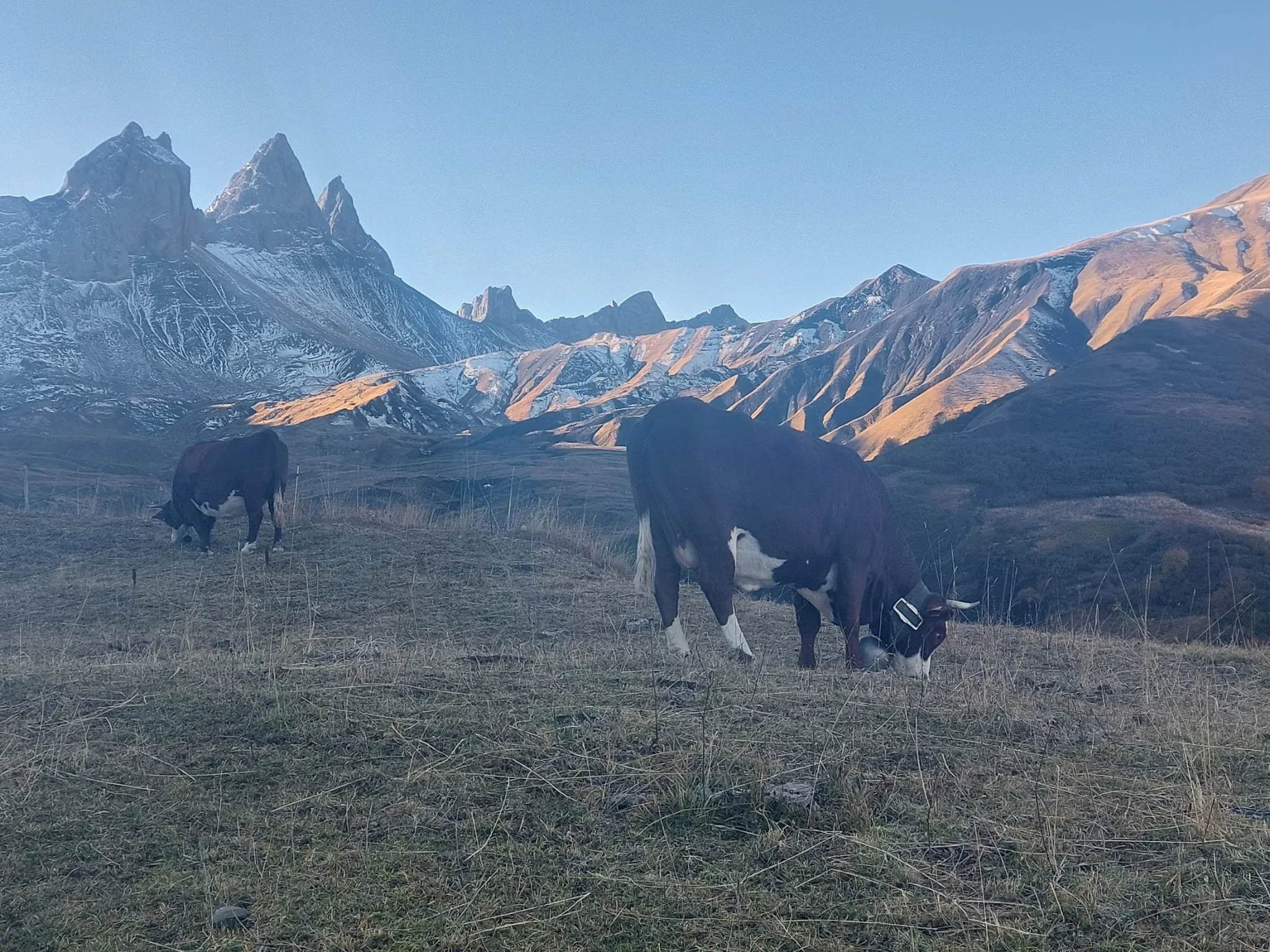 het goud van de bergweide