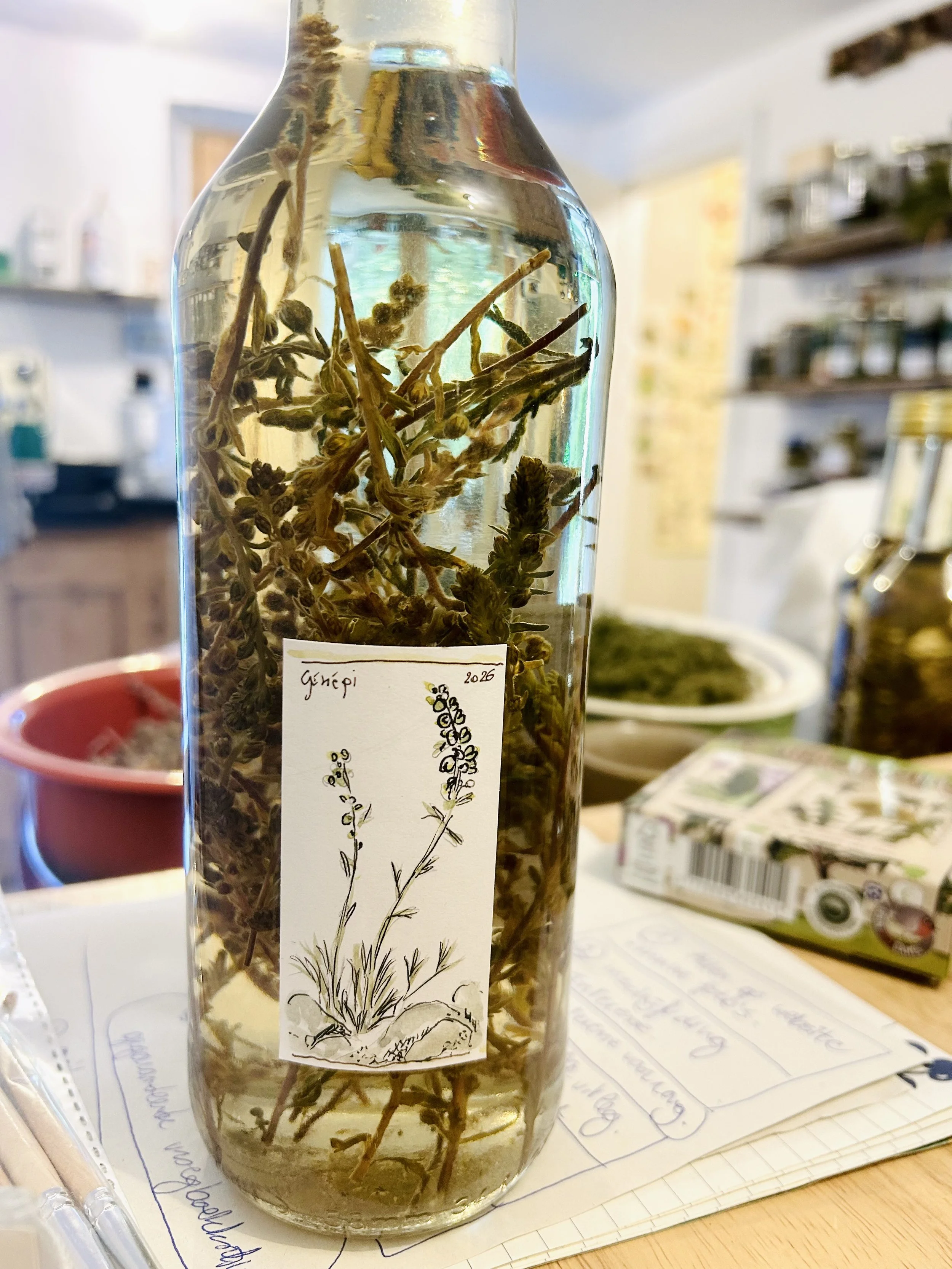 genepi.jpeg