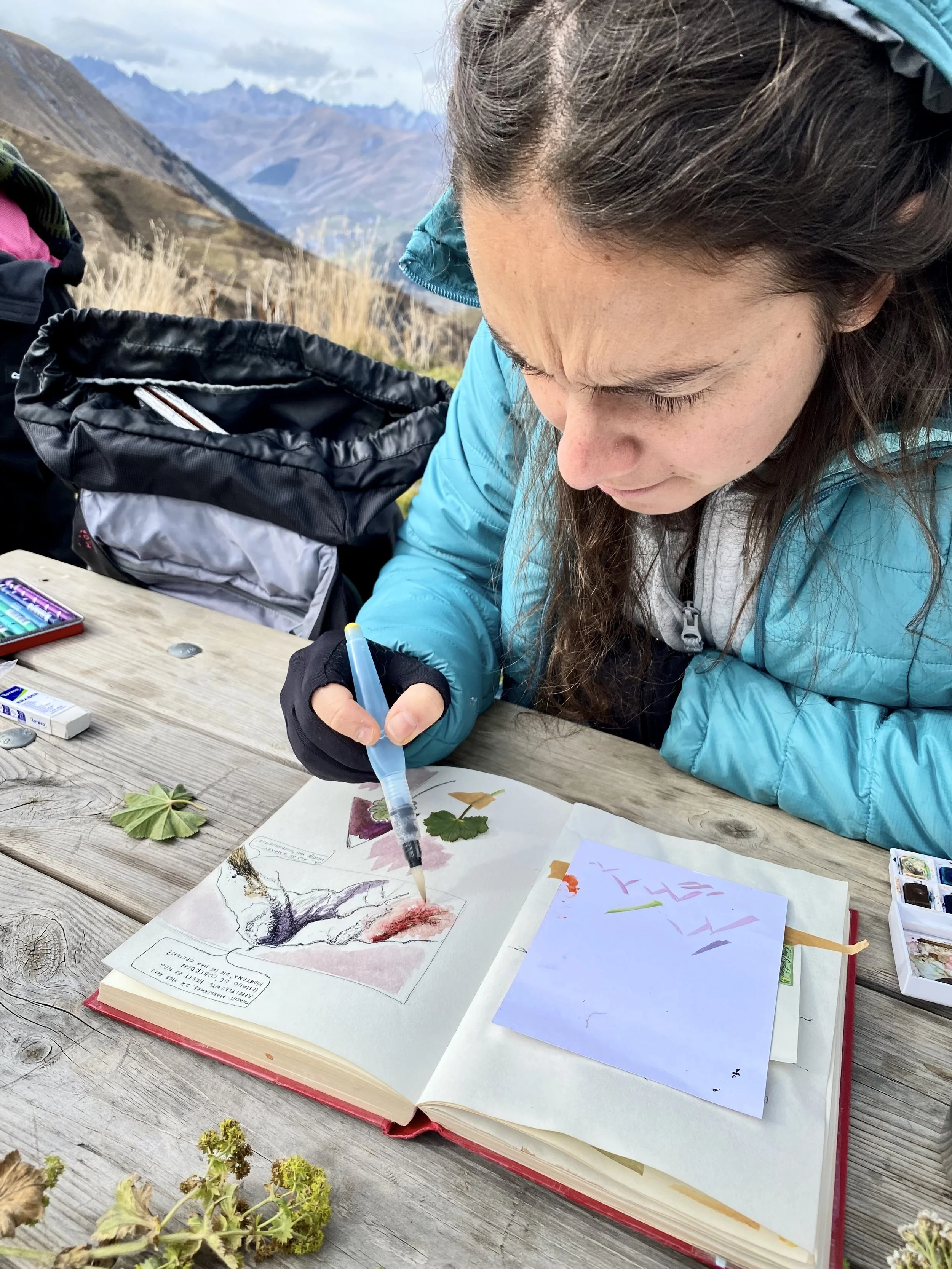nature journaling alps