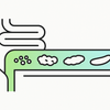 Bristol Stool Chart Explained: Understanding Stool Types and Health ...