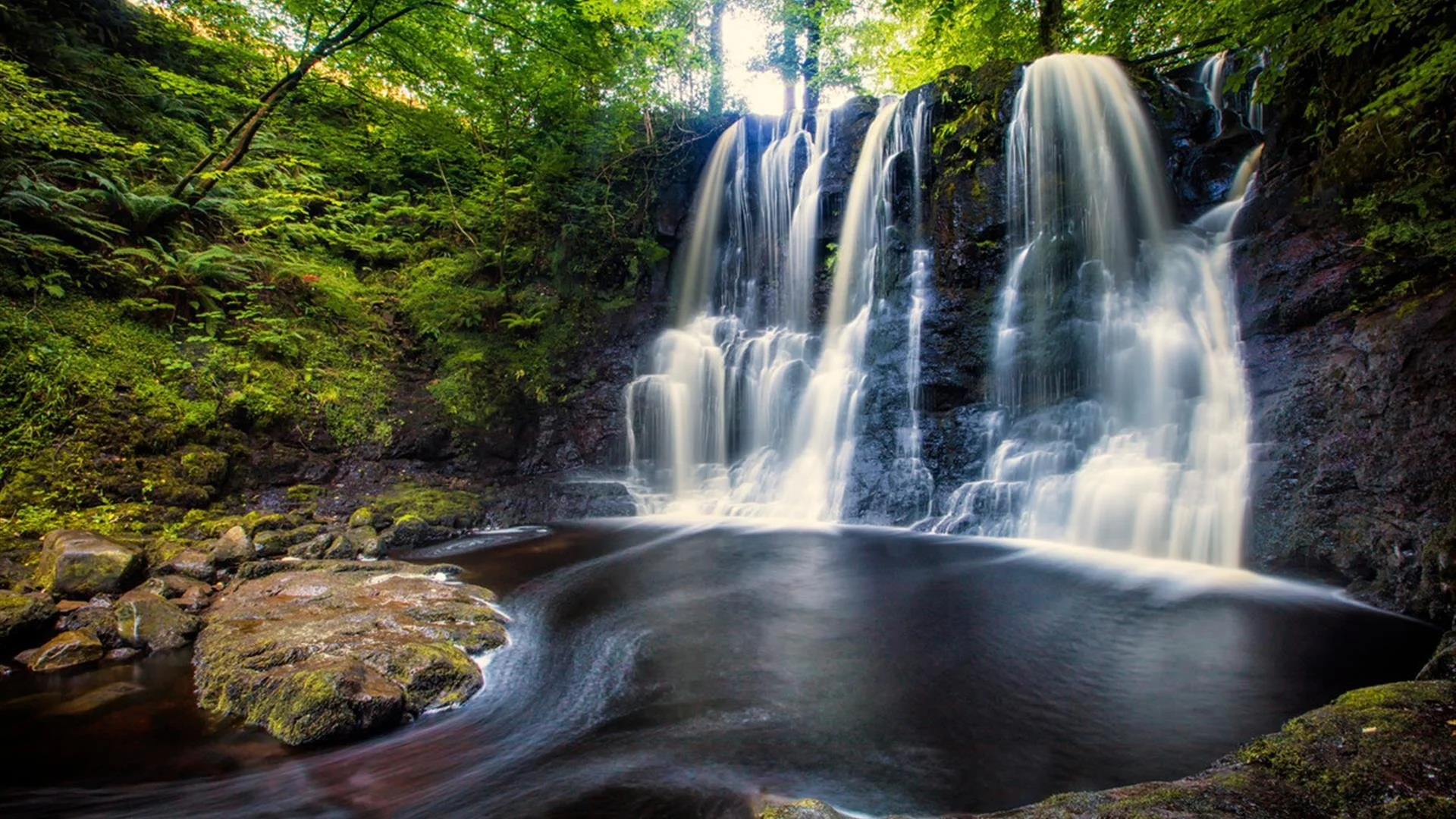 A waterfall cascading over rocks in a lush green forest with sunlight filtering through trees.