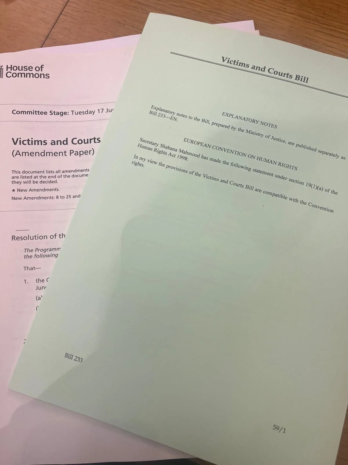 Victims and Courts Bill Committee 