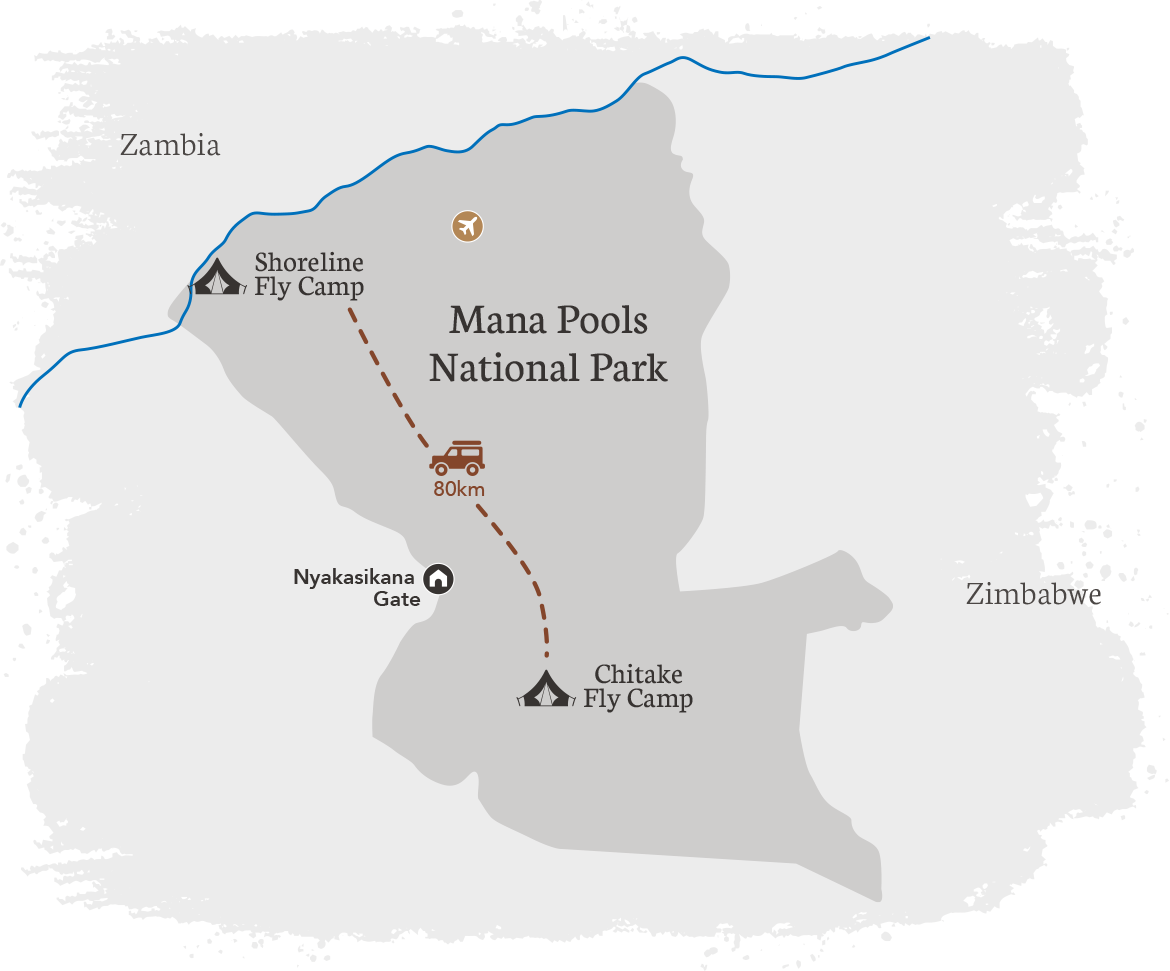 Map of Mana Pools National Park showing two fly camps, Chitake Fly Camp and Shoreline Fly Camp, with an 80 km route marked between them, and nearby countries Zambia and Zimbabwe.