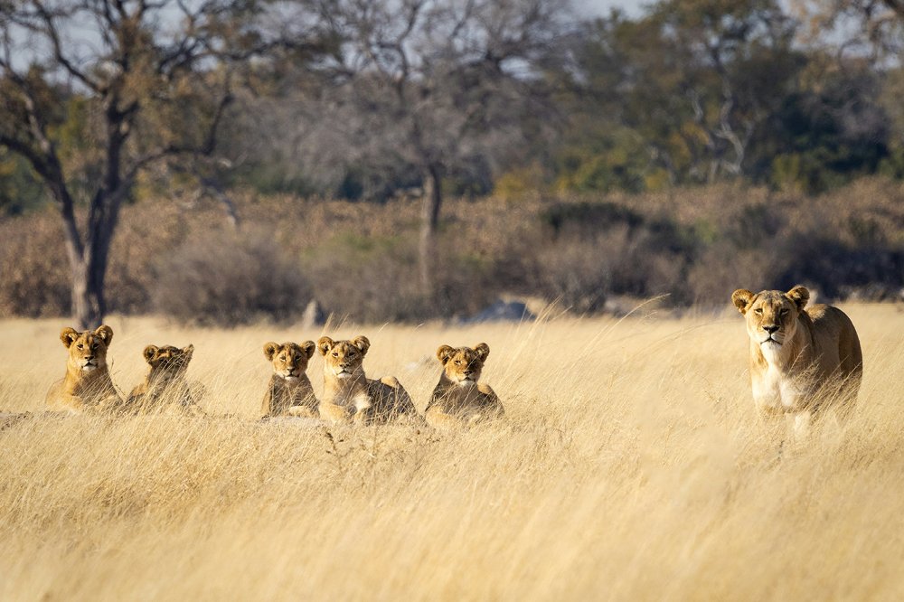 hwange-12.jpg