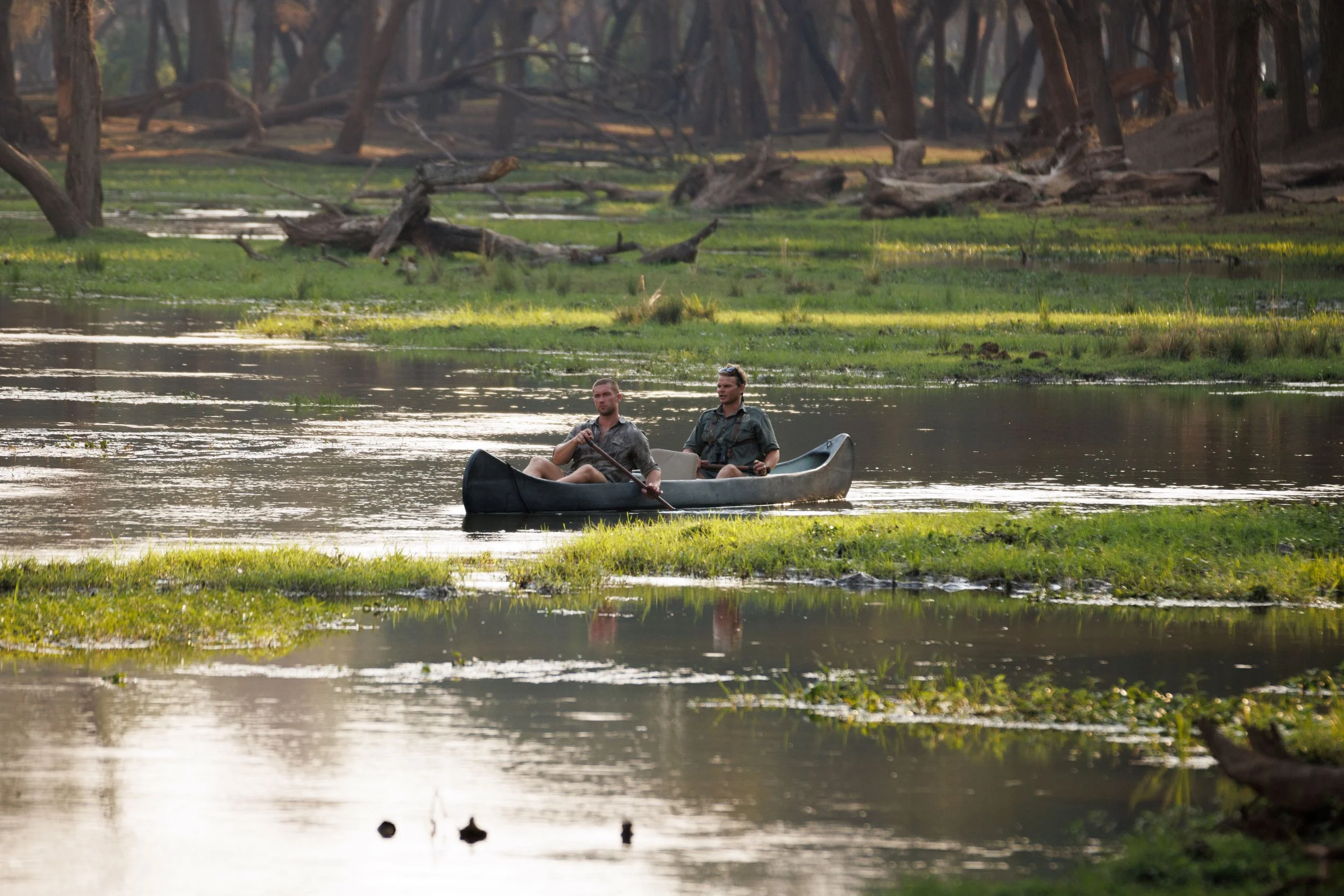 An image of Nicole Scherzinger