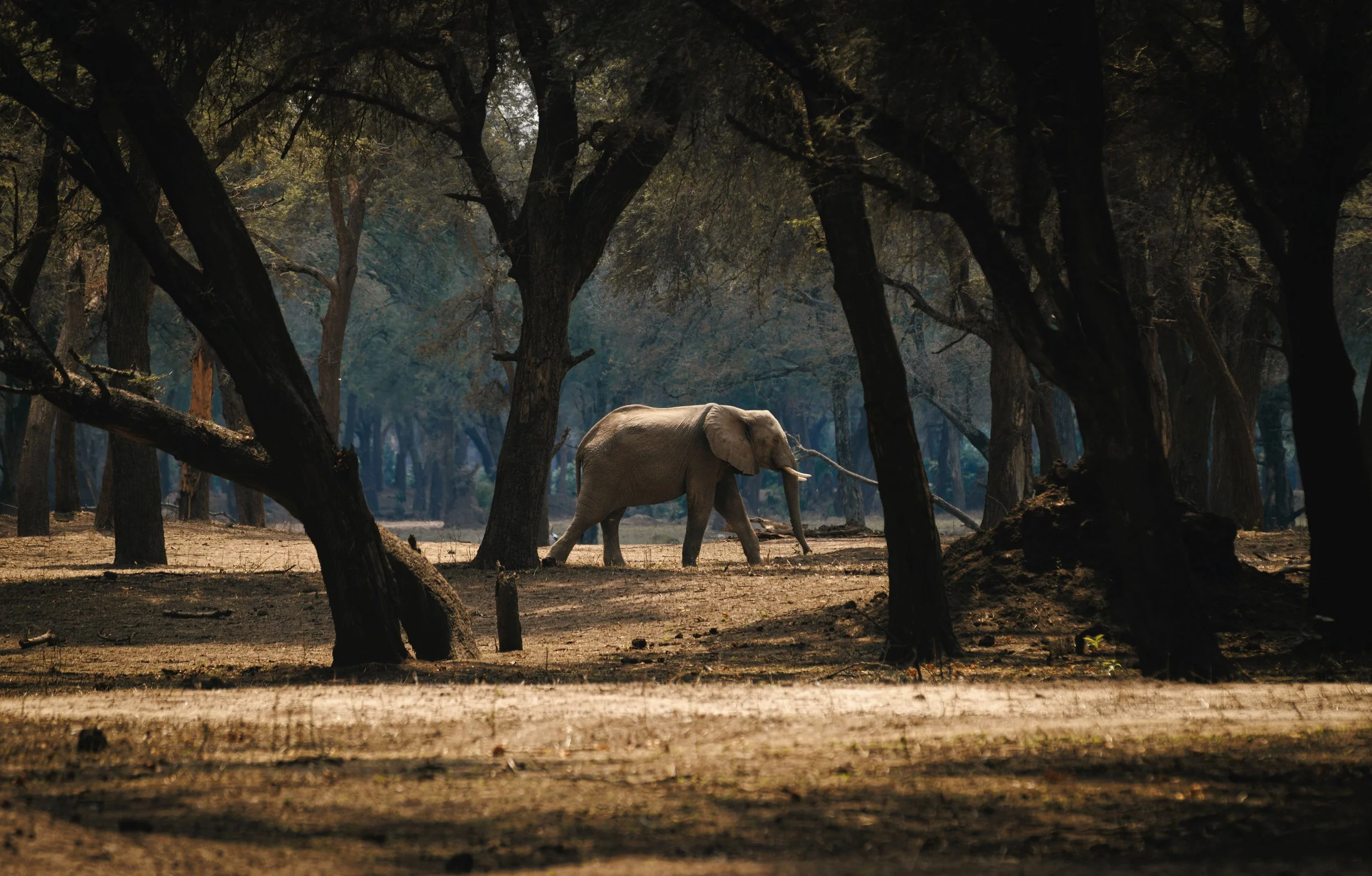 An image of the Cultural Center.