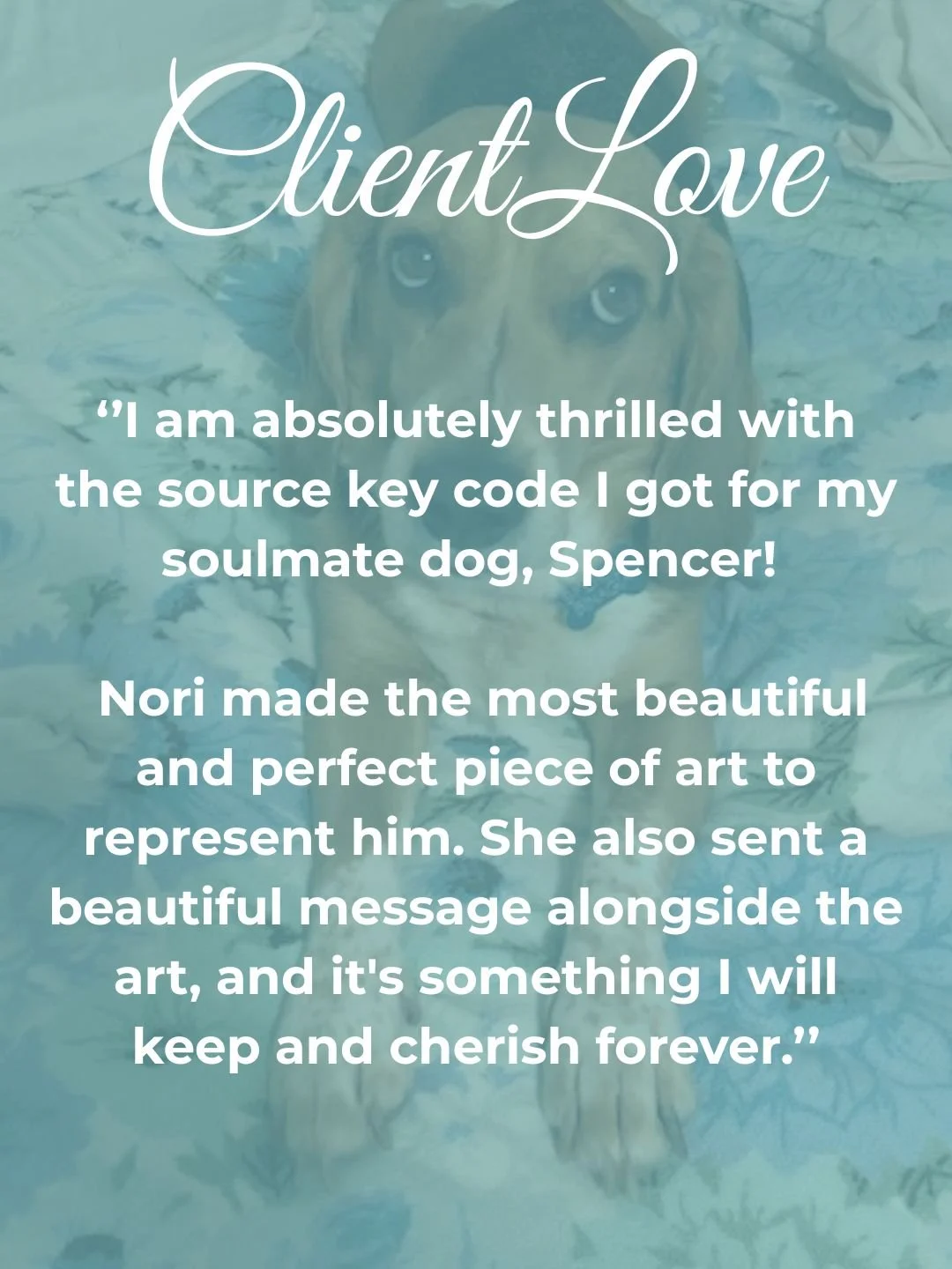 So excited to announce that Animal Source Key Codes are officially open!
pm me for the details!

This experience can initiate an important journey of healing, communication and learning between the two of you. Just ask to see if they would love this 
