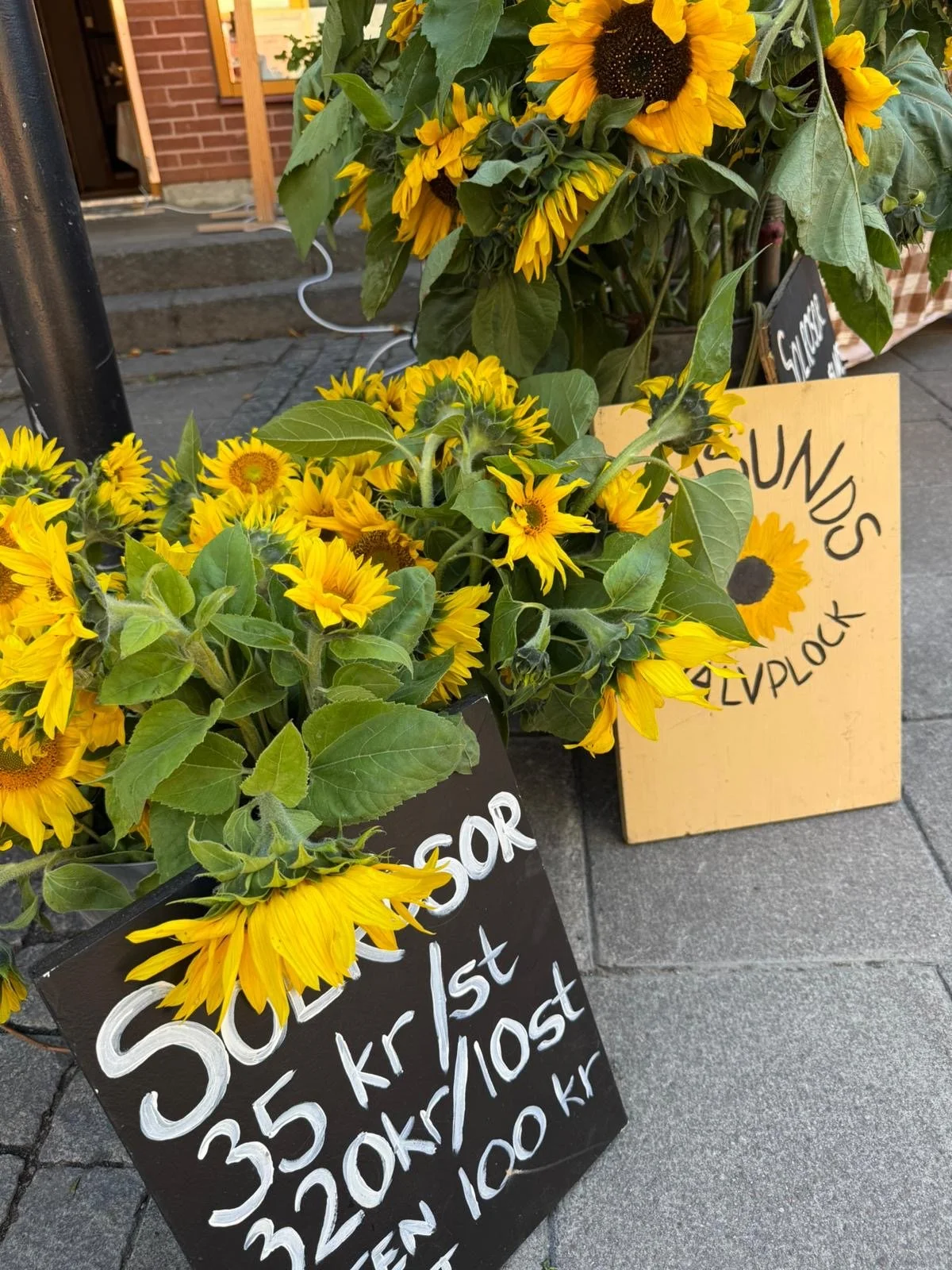 Höstmarknad i Ekerö Centrum