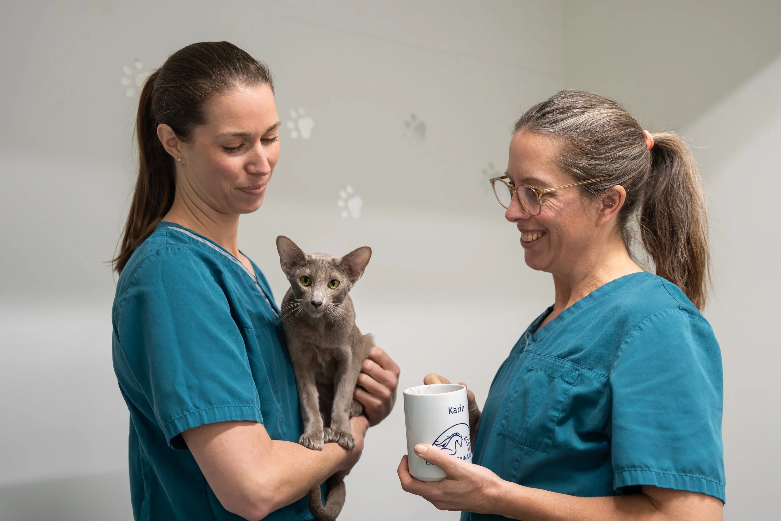 Möt Ekeröveterinären