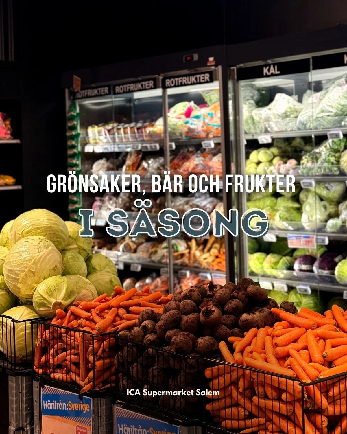 Hösten är här och det innebär rotfrukternas prime time 🍂🥕
Svenska frukter, bär och grönsaker i säsong är inte bara extra goda, de har ofta lägre klimatpåverkan, är fulla av näring och de