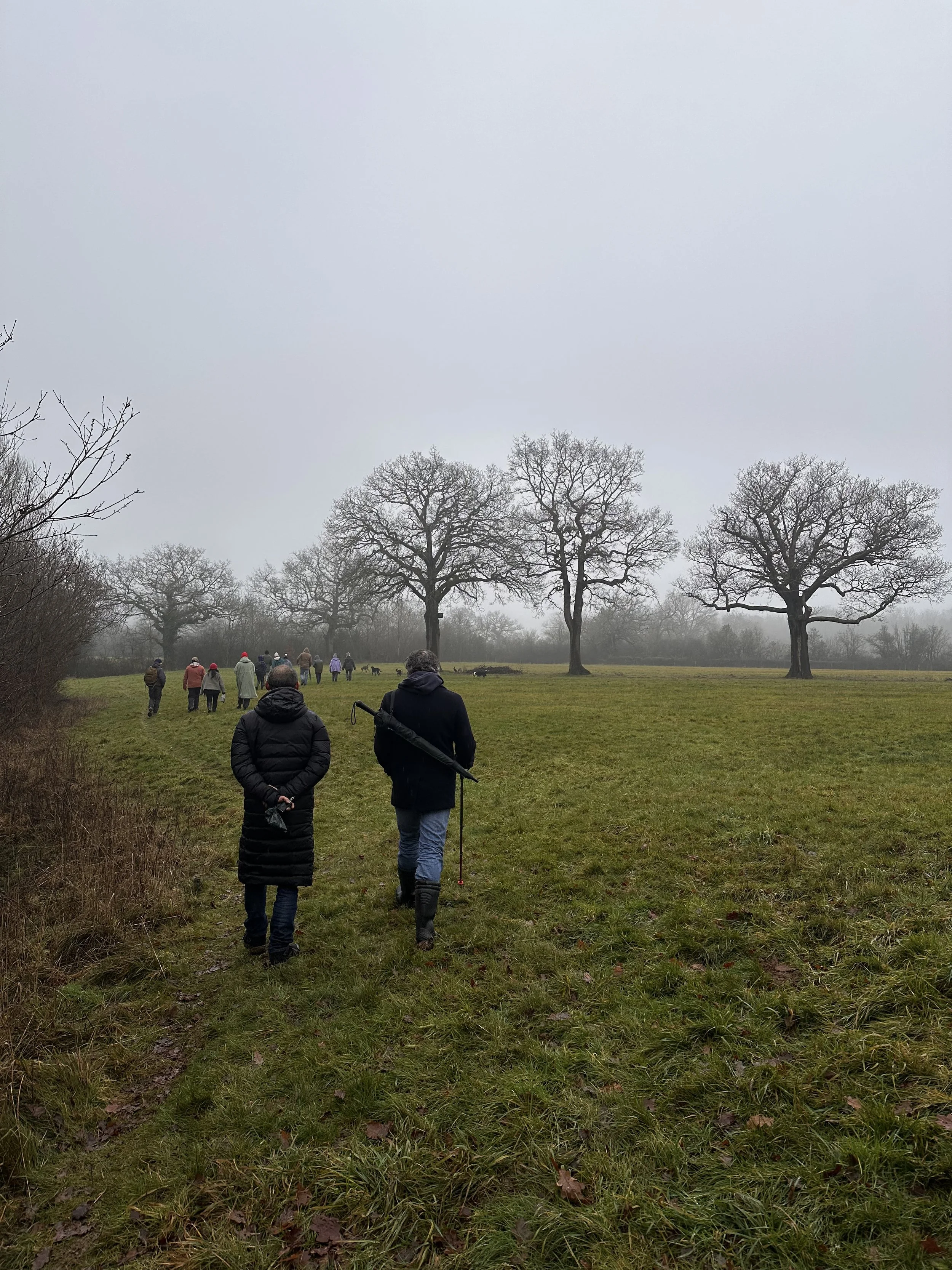Wild Walks January: Winter Wanderers