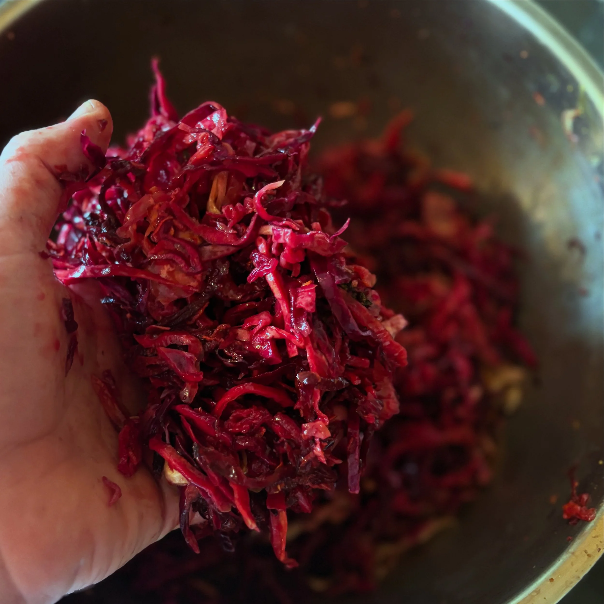 Culture Club, Kraut Workshops 28th & 29th January