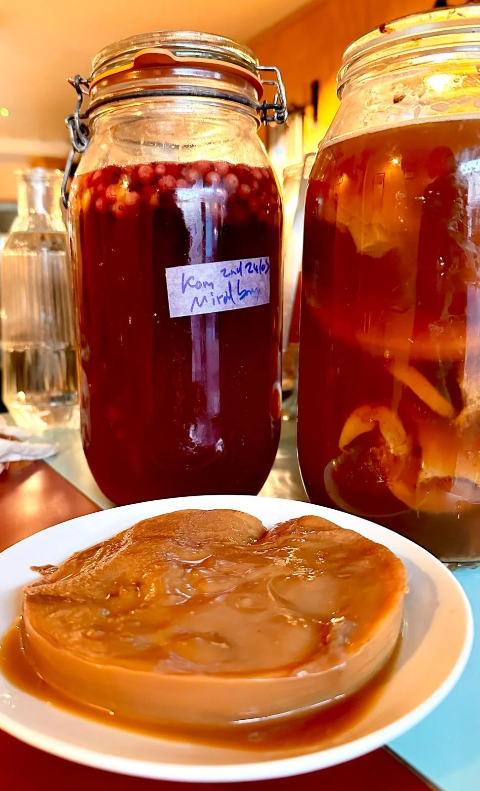 Culture Club, Kombucha Workshop,  25th & 26th of February