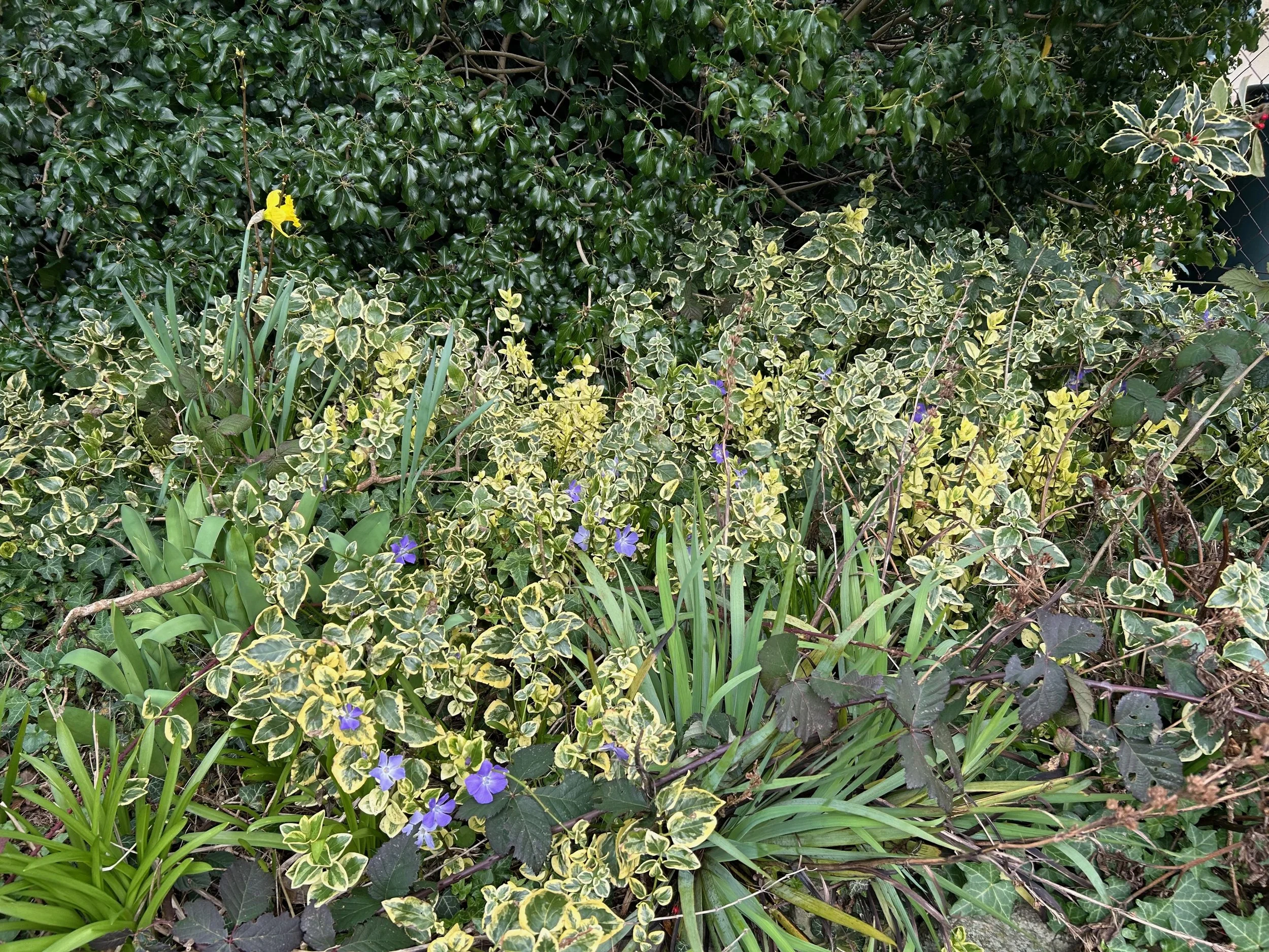 February Reads &amp; Friday Links