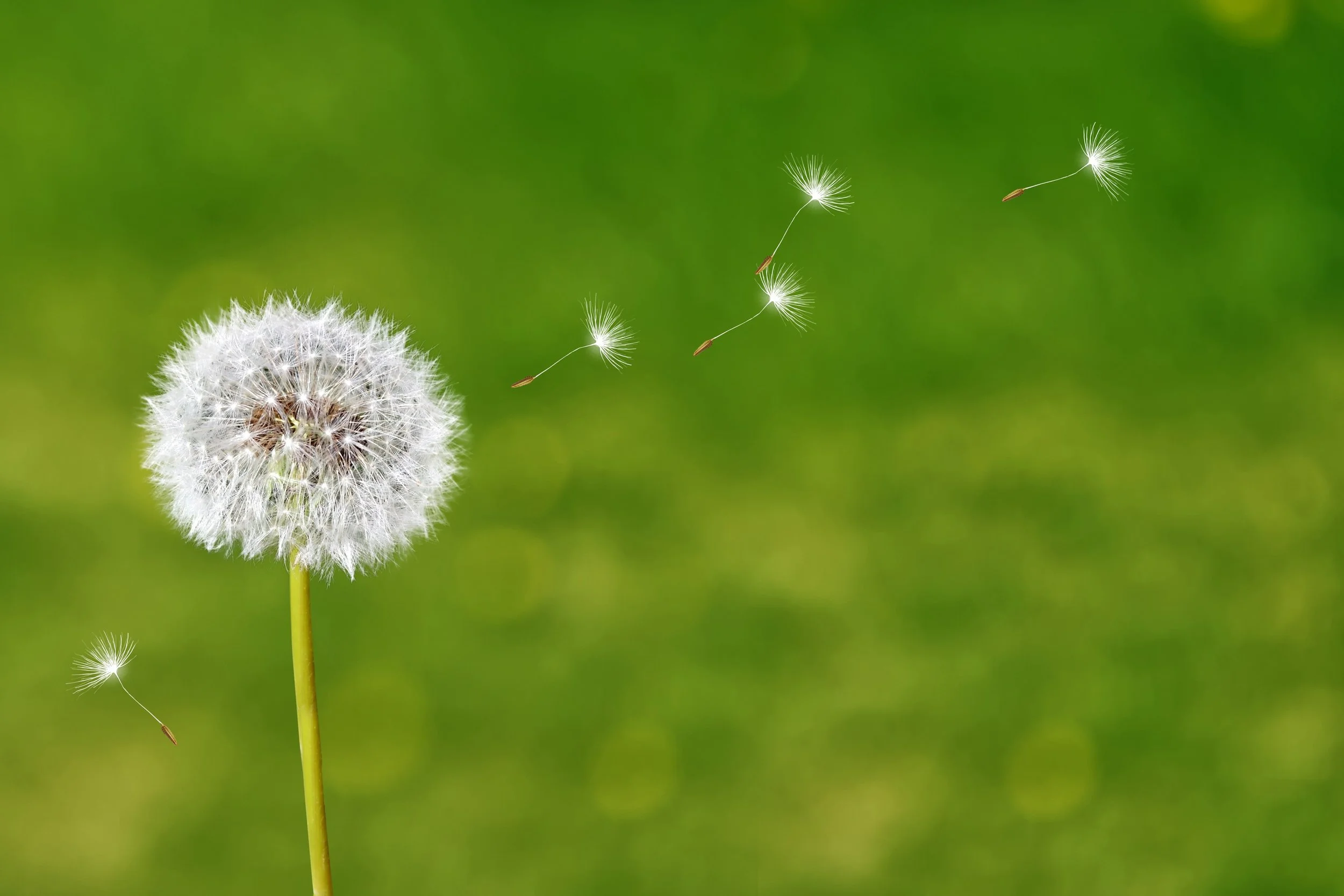 Rediscover your worth - let go of your limitations and what is holding you back