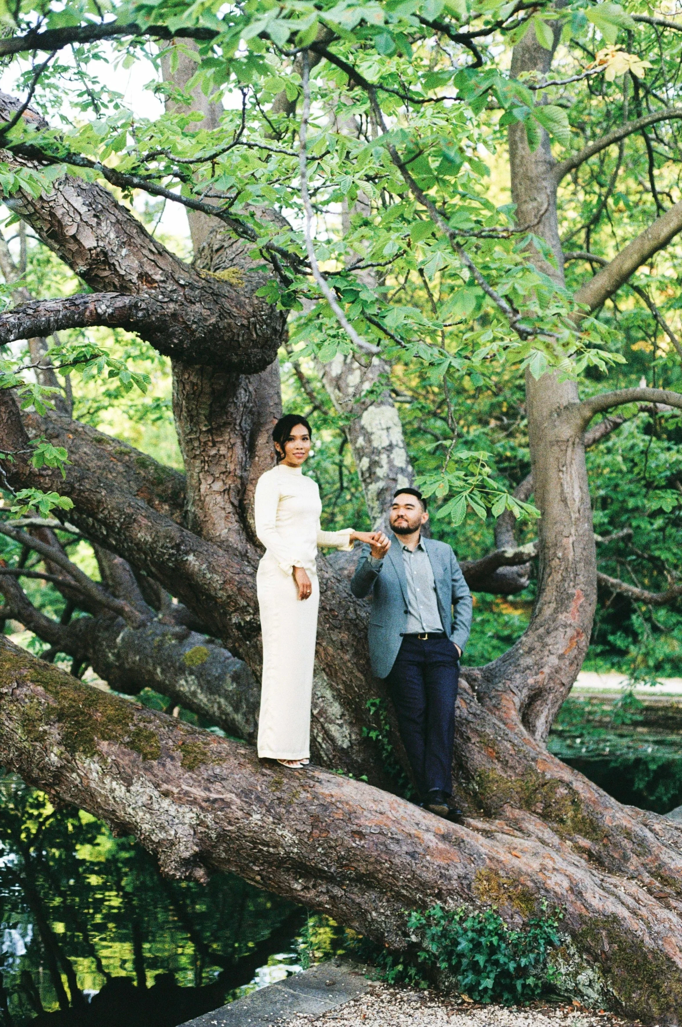 A woman in a cream-colored dress and a man in a gray blazer and dark pants holding hands while standing on a large tree branch in a lush green park.