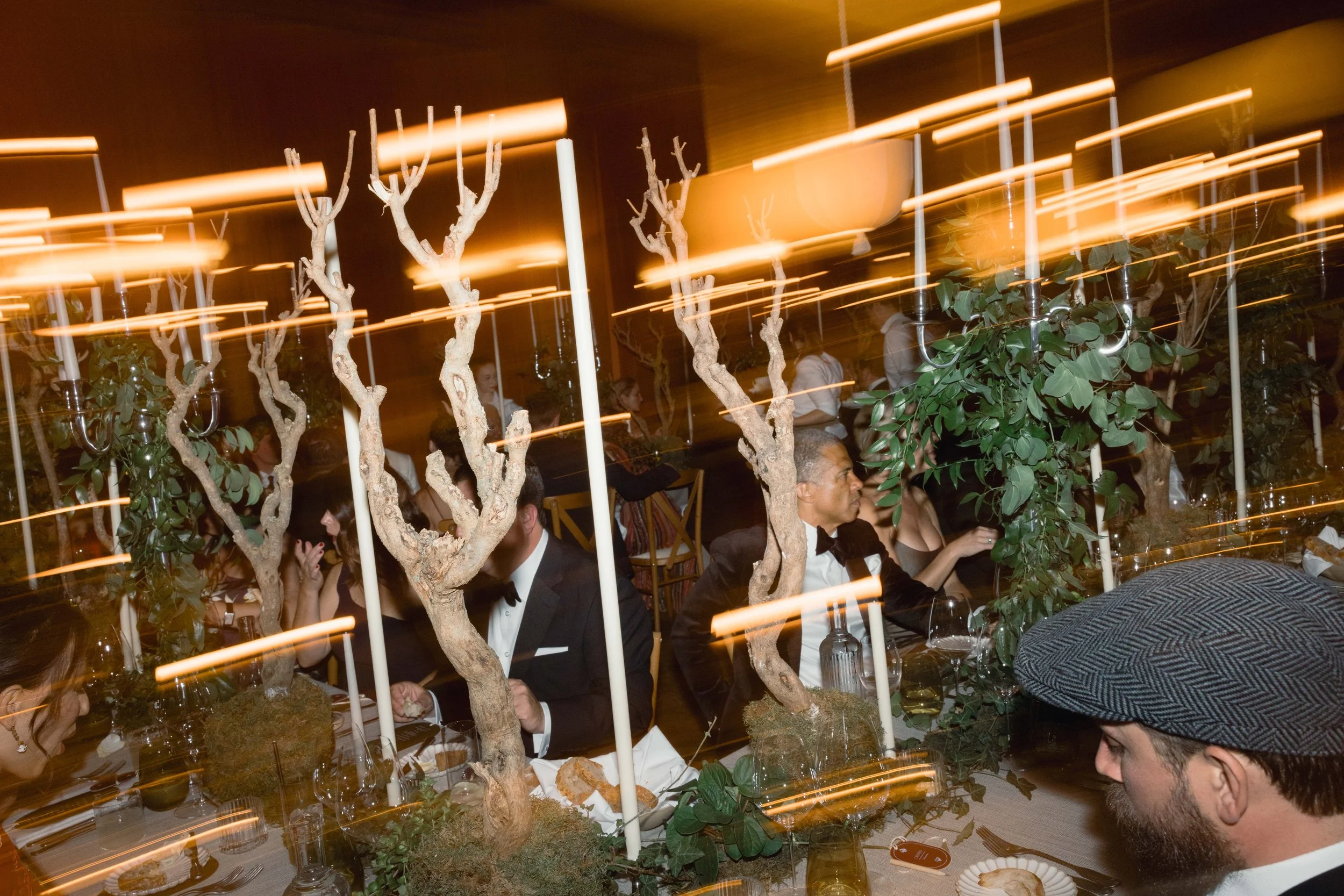 Elegant wedding dinner party with guests seated at a table decorated with potted plants and candles, in a dimly lit room with motion blur lighting effects.
