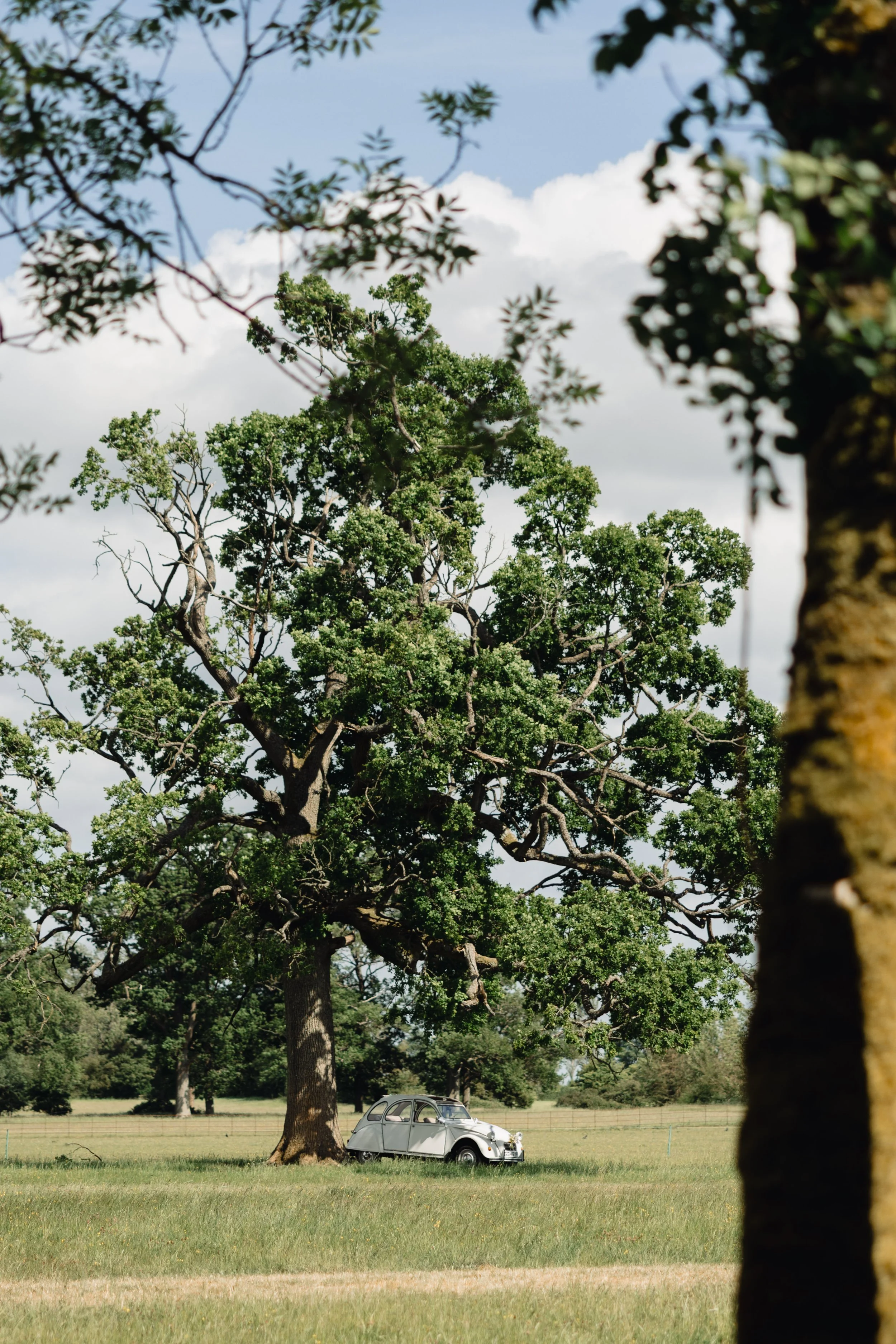 A vintage silver car parked under a large tree in an open grassy field with additional trees and a partly cloudy sky in the background.