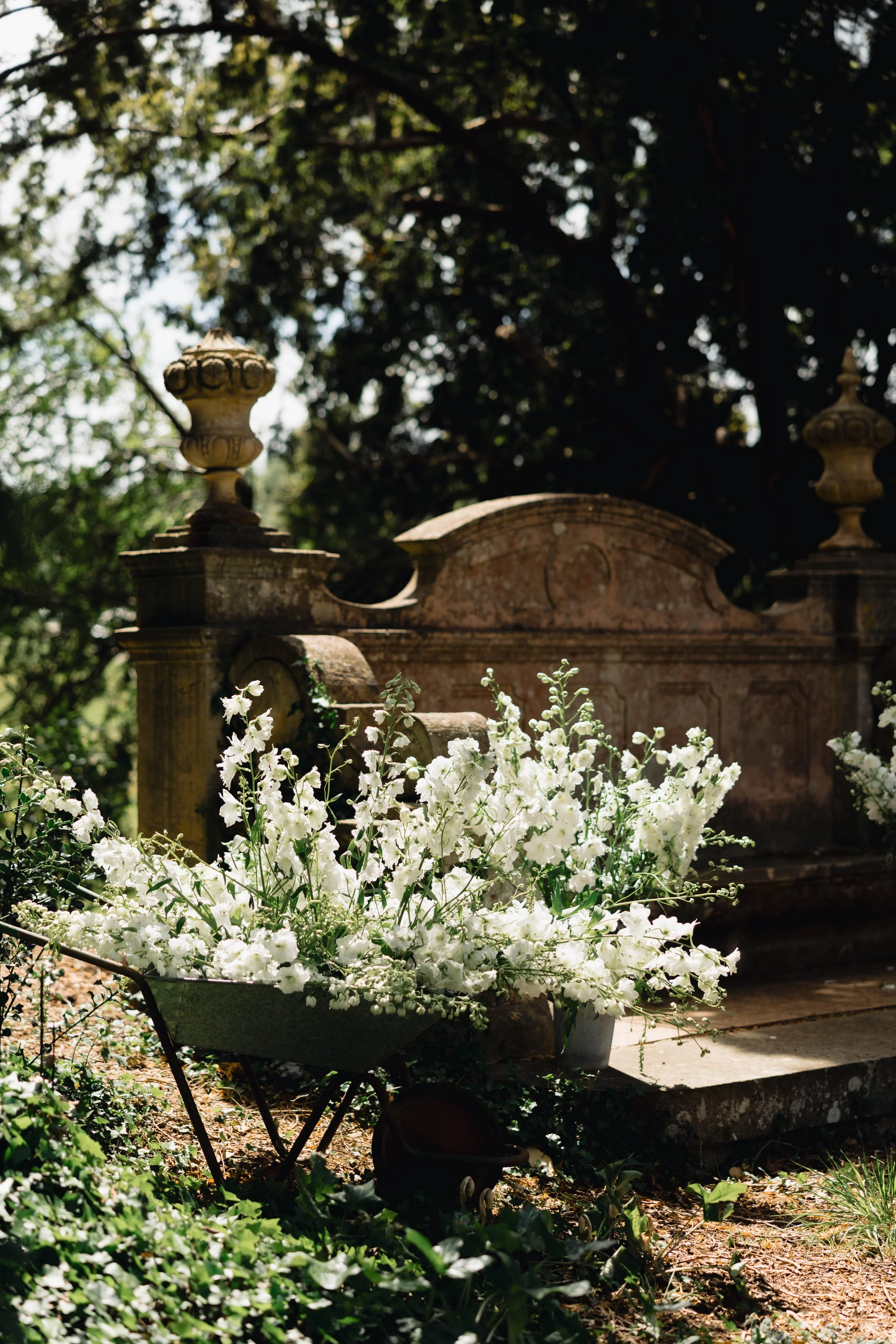 A wheelbarrow filled with white flowers placed on the ground in front of an old stone monument or fountain outdoors, surrounded by trees and greenery.