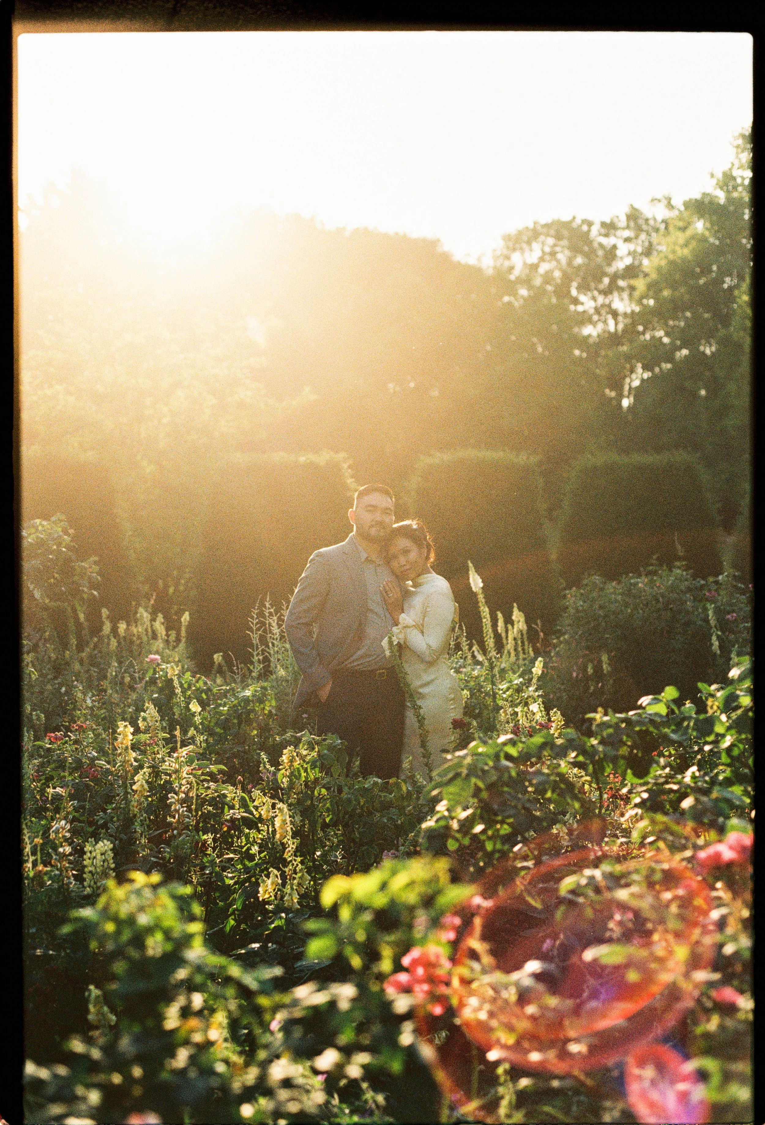 A couple standing in a garden bathed in warm sunlight, surrounded by flowers and greenery.