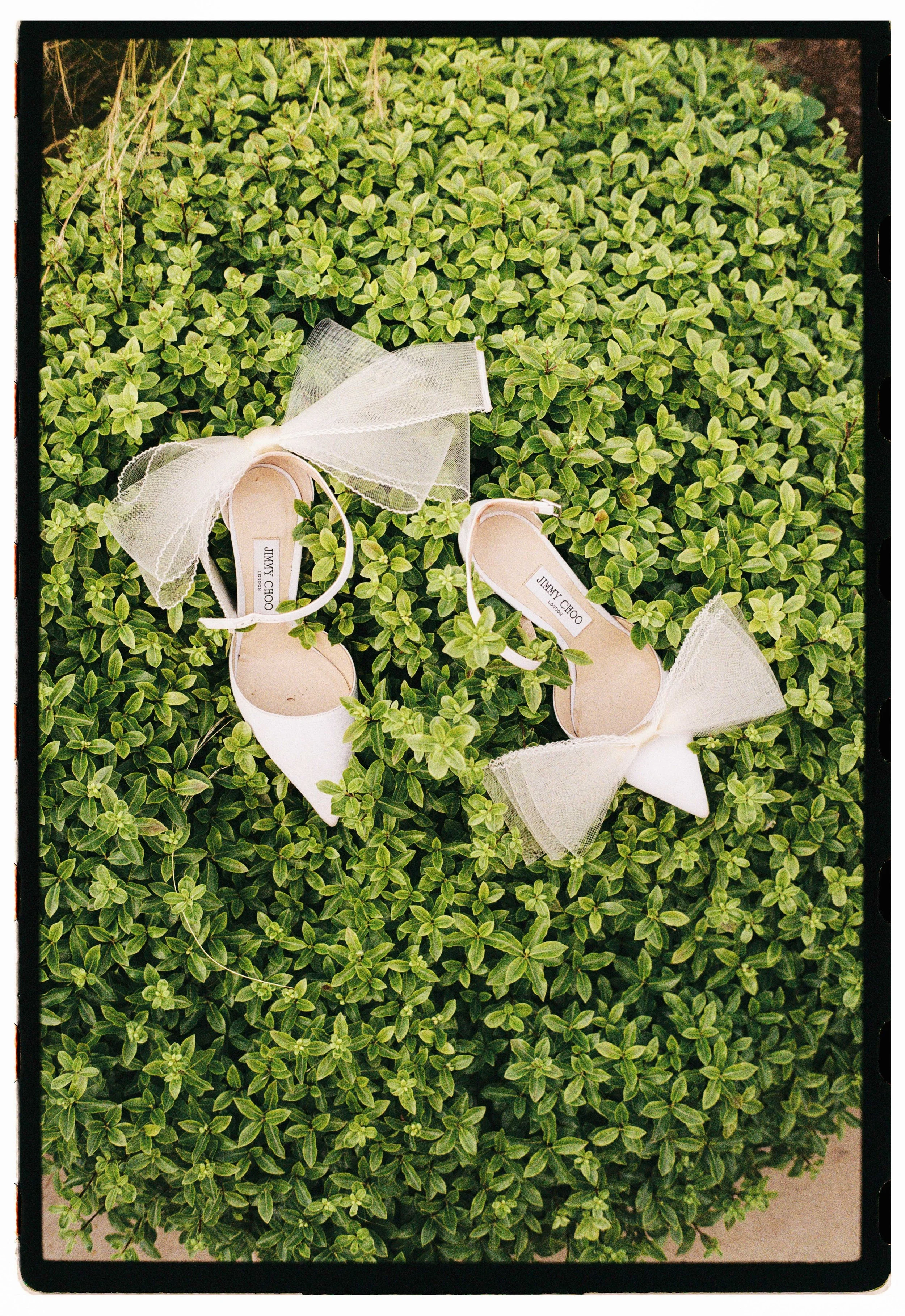 A pair of white Jimmy Choo high-heeled wedding shoes with large sheer bows on the ankle straps, placed on green leafy bushes.
