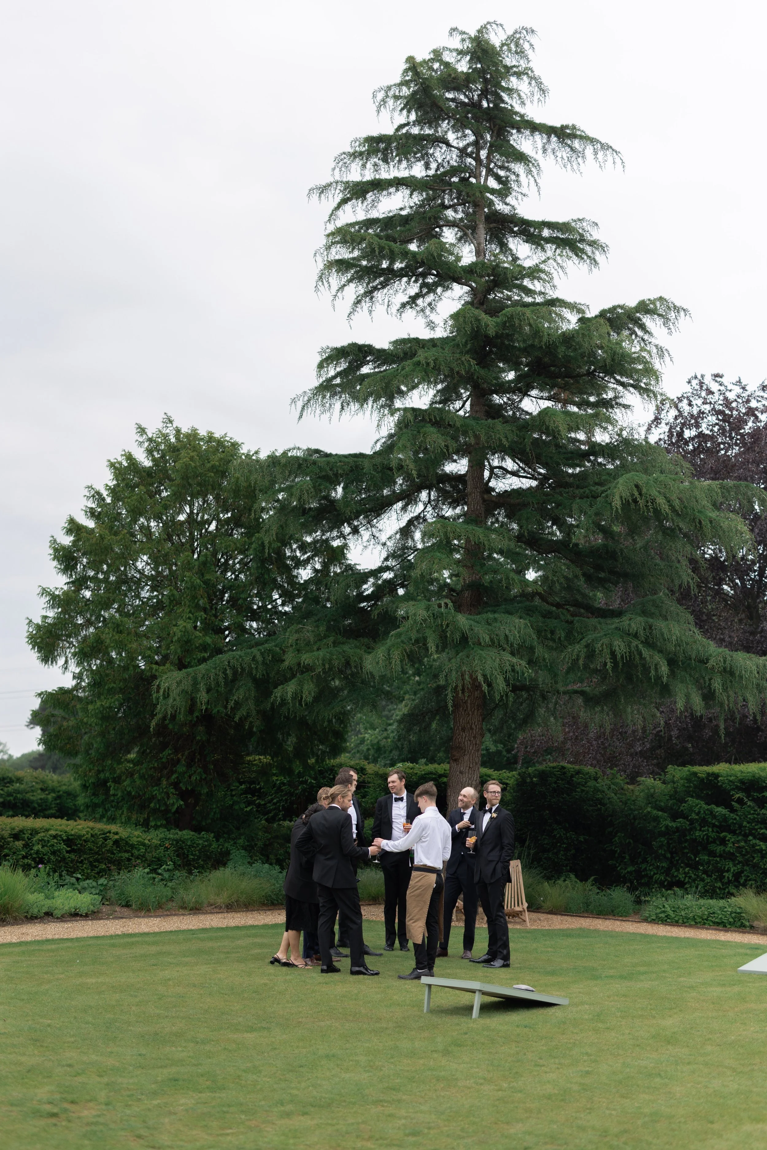 Group of people dressed in formal attire standing on a grassy lawn under a large pine tree, engaging in conversation and holding drinks.