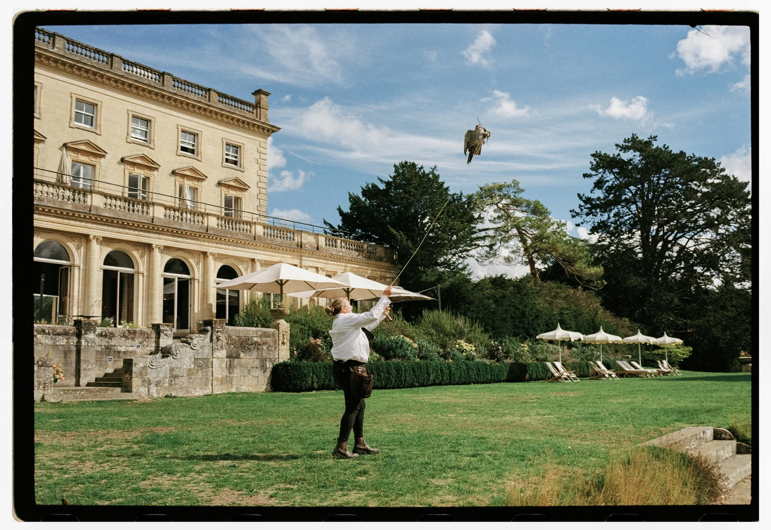 A woman in a white shirt and black pants flying a falcon outdoors on a sunny day with a cloudy blue sky, large classical building with ornate windows and balustrades, green lawn, garden, and white umbrellas in the background.