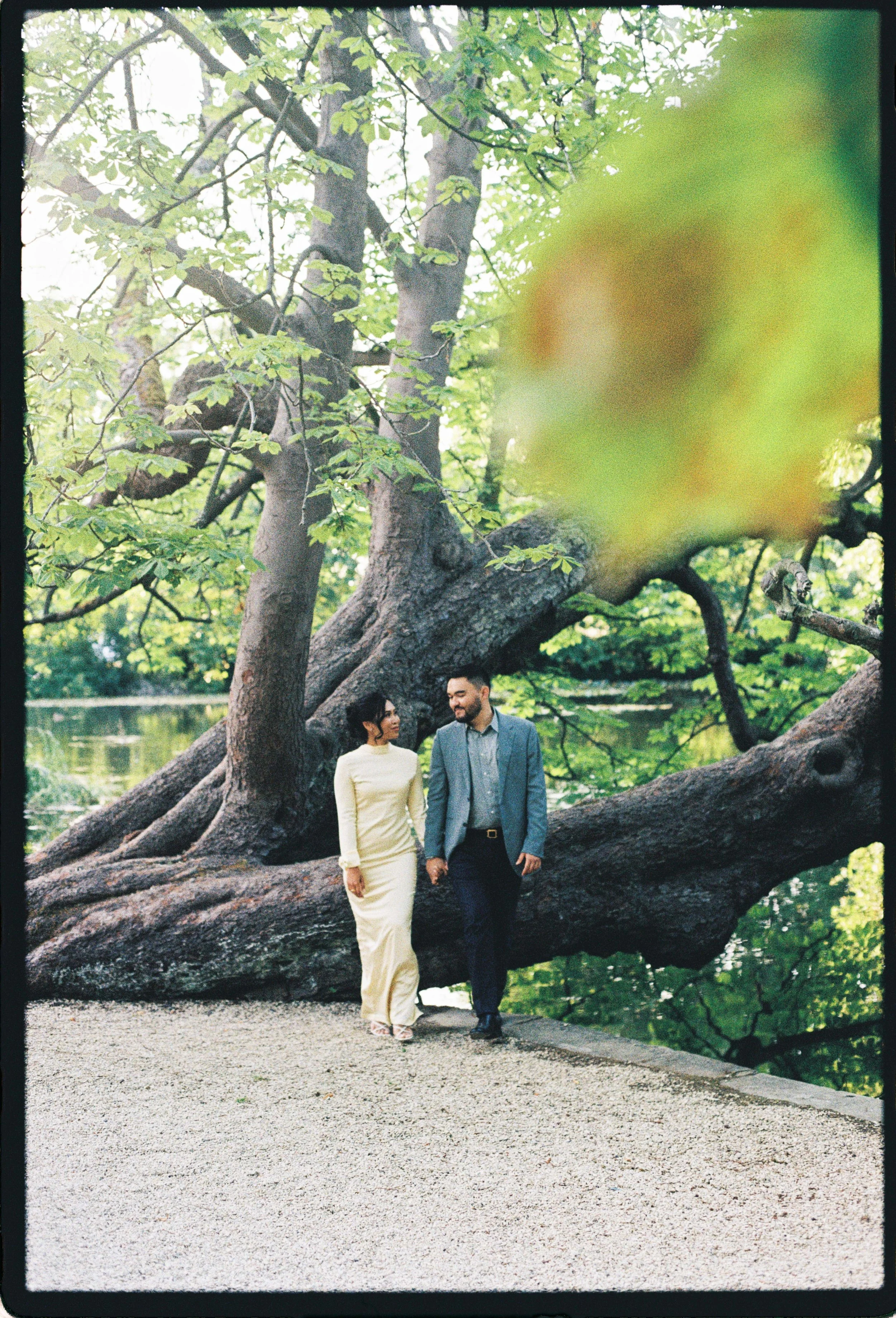 A couple holding hands and walking along a path in a park, with a large, sprawling tree in the background and water visible behind them.