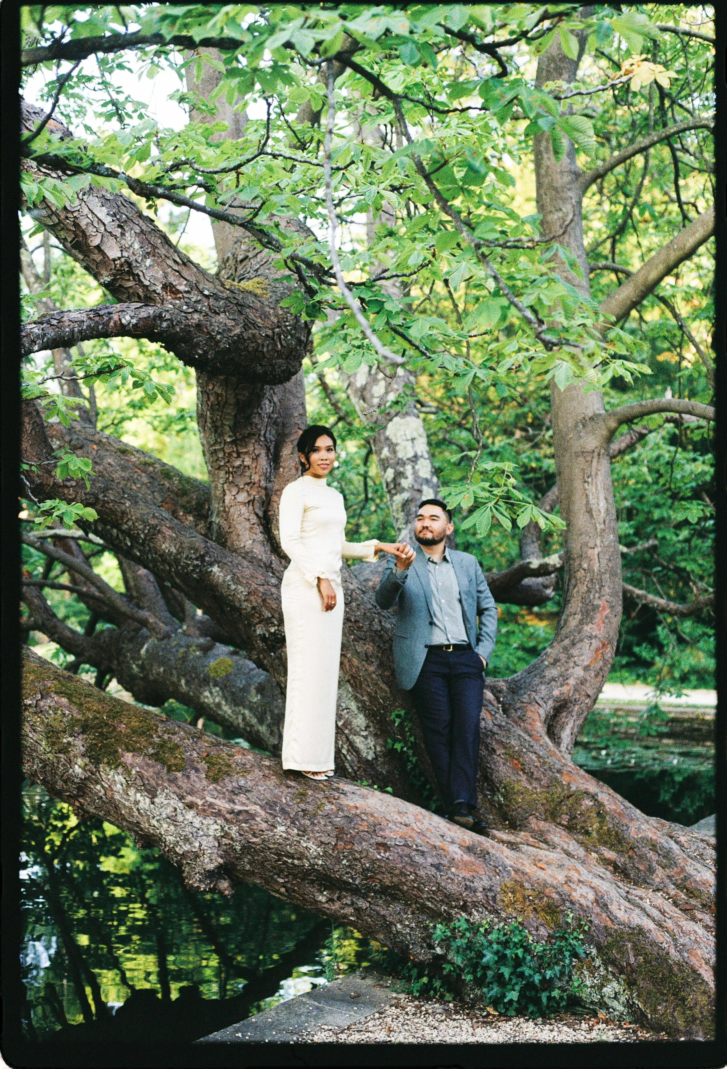 A man and woman standing on a large tree branch in a lush green park, holding hands. The woman extends her hand to the man, who is looking at her with a smile. The scene is filled with leafy trees and reflections in the water below.