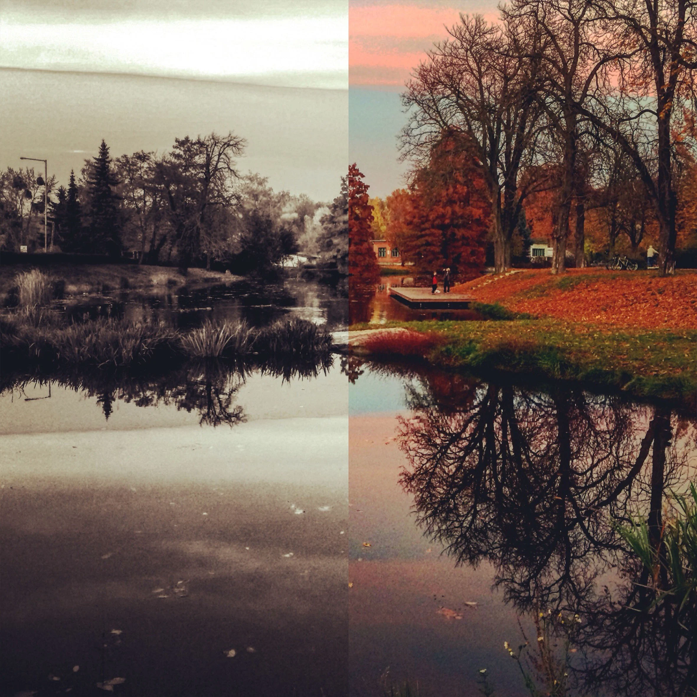 60000+ Adobe Lightroom Presets Product Preview1-3 .webp