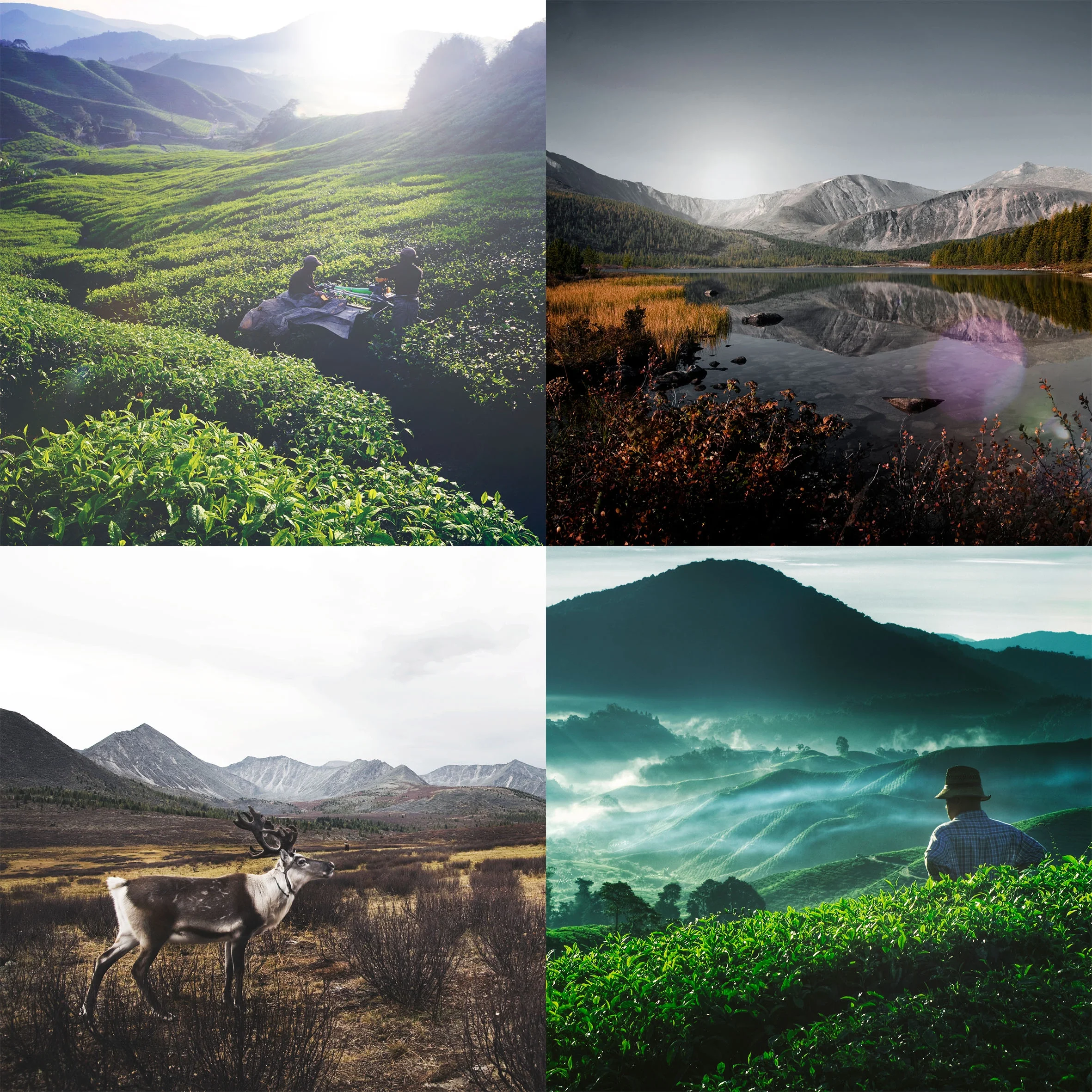 Lightroom Presets Series Product Preview 1 .webp