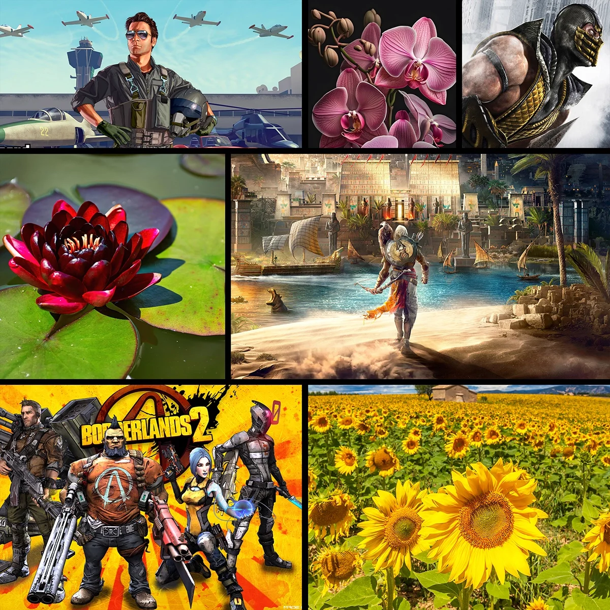 Infinite Design Archive Product Preview 5 .webp