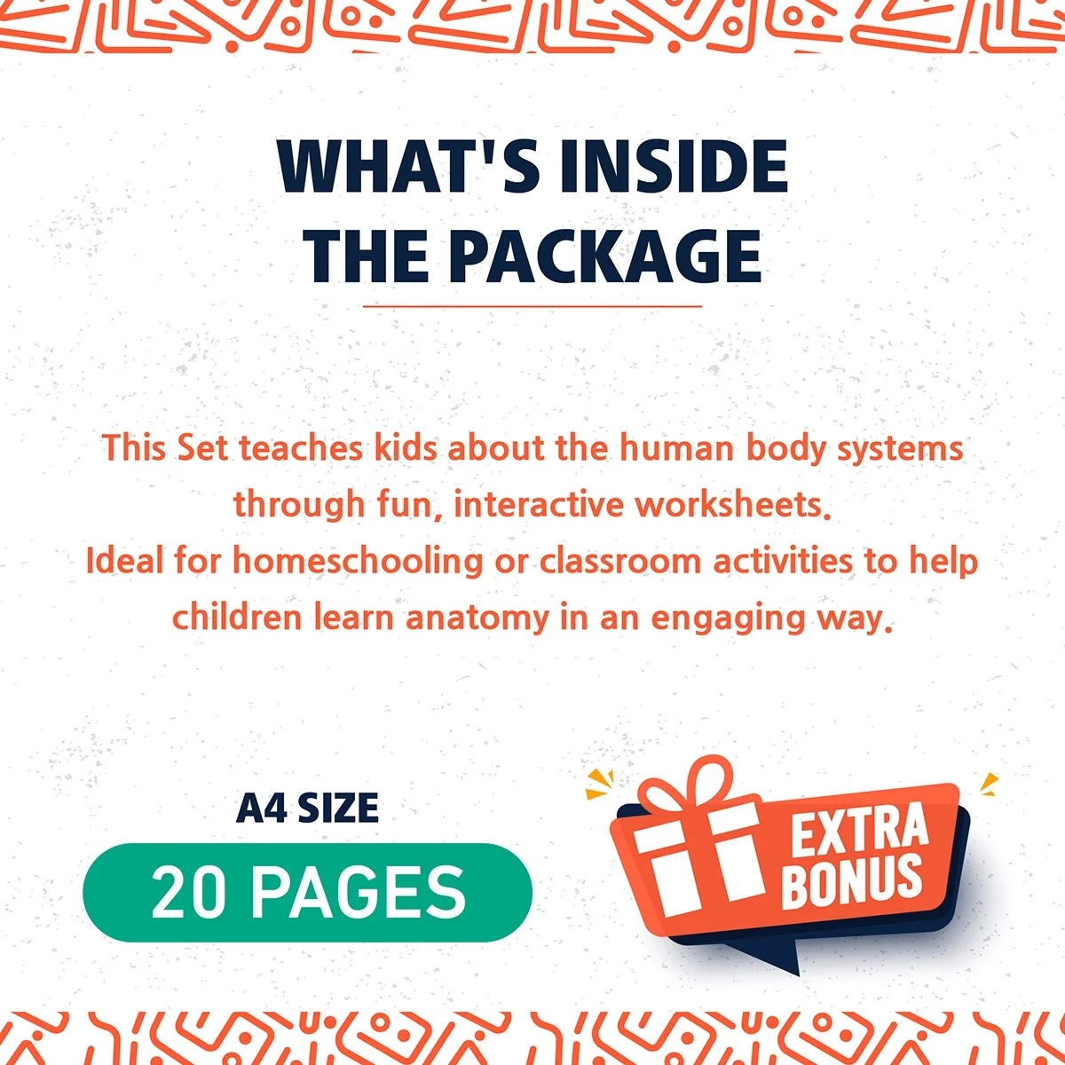 What's Human Body System Included Preview .webp