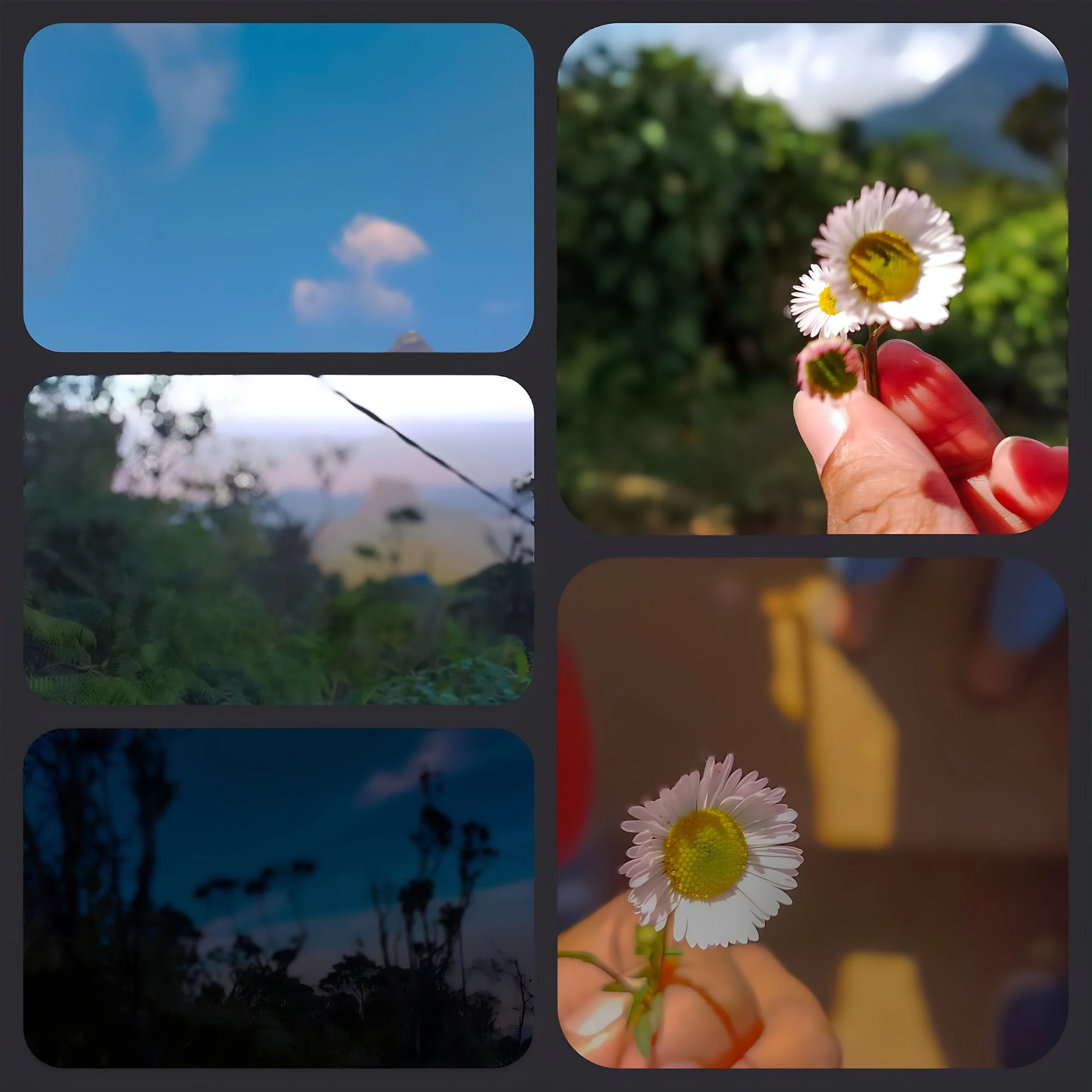 60000+ Adobe Lightroom Presets Product Preview1-4 .webp