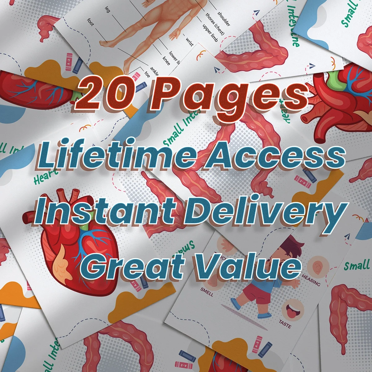 Human Body System Product Preview .webp