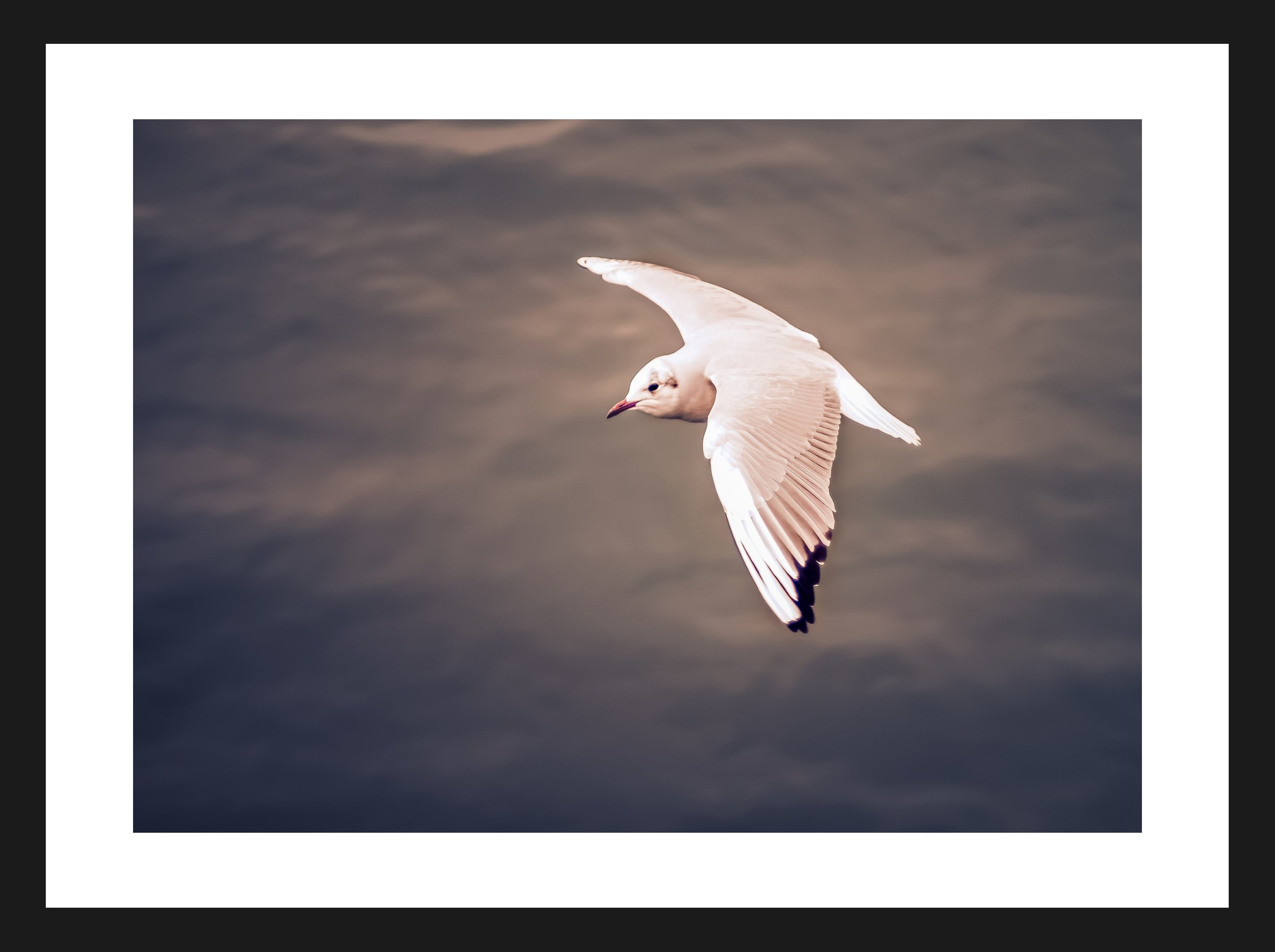 Dimensionen einstellen 2702x2019 px (64).jpeg