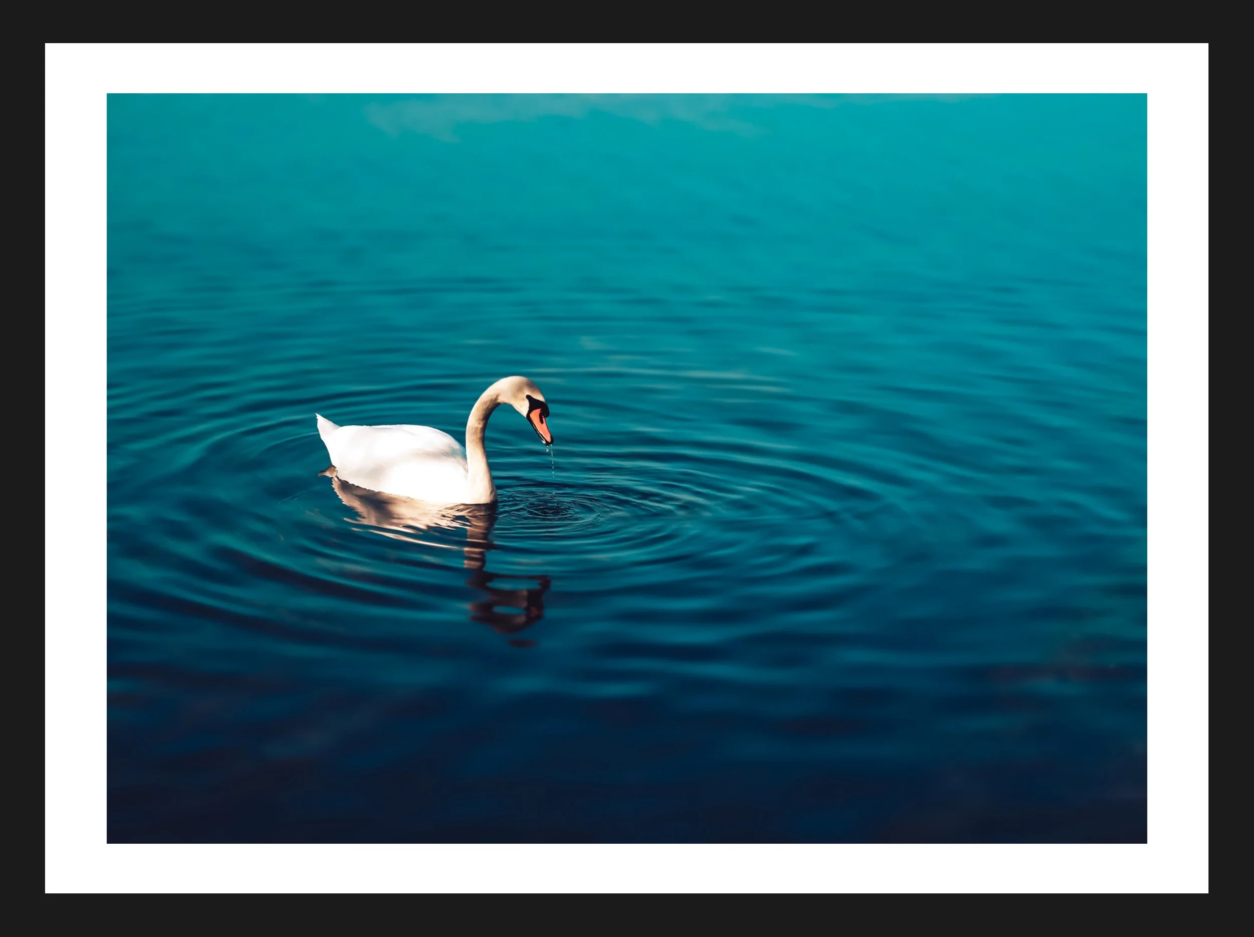 Dimensionen einstellen 2702x2019 px (19).jpeg