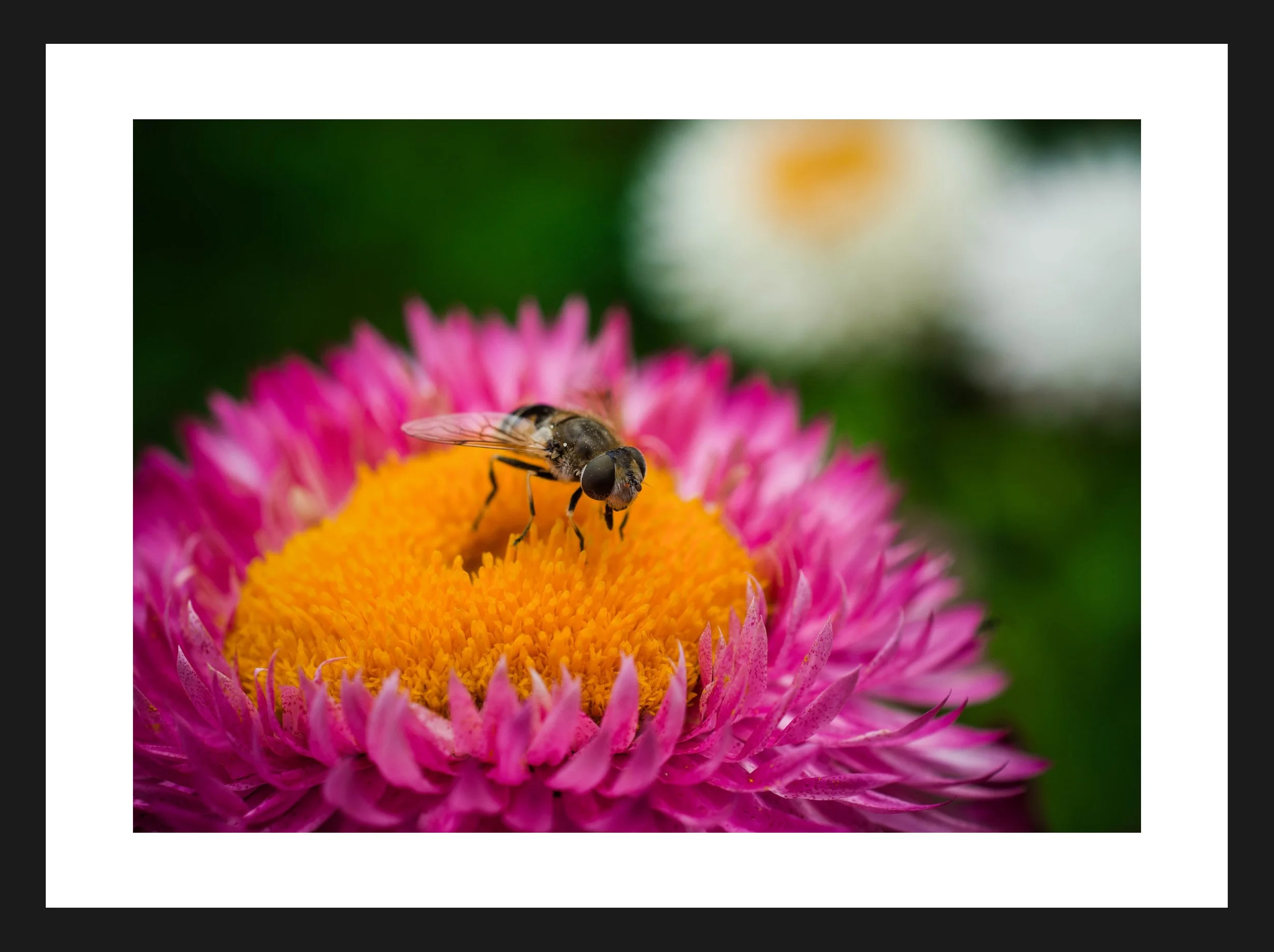 Dimensionen einstellen 2702x2019 px (80).jpeg