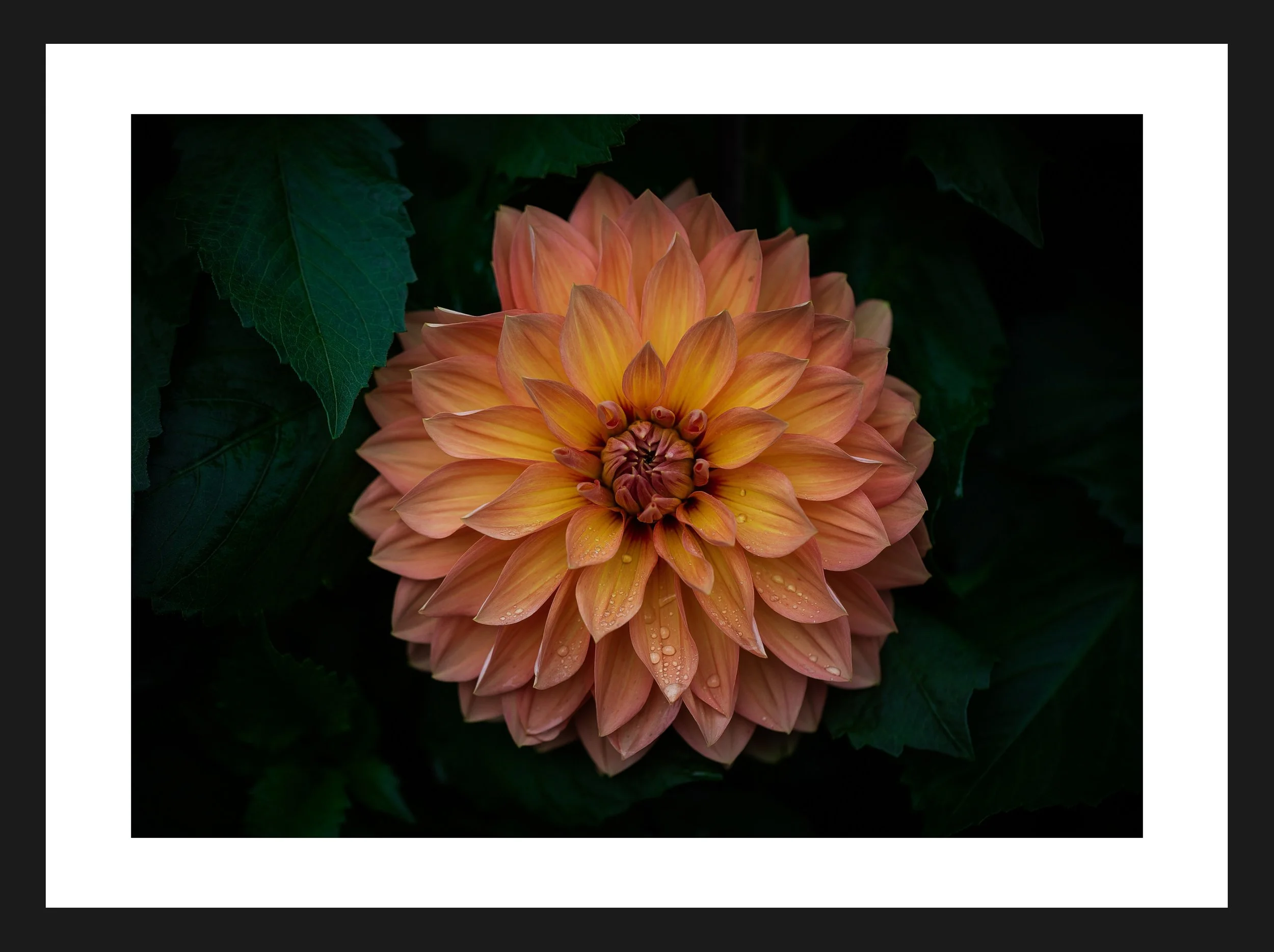 Dimensionen einstellen 2702x2019 px (31).jpeg